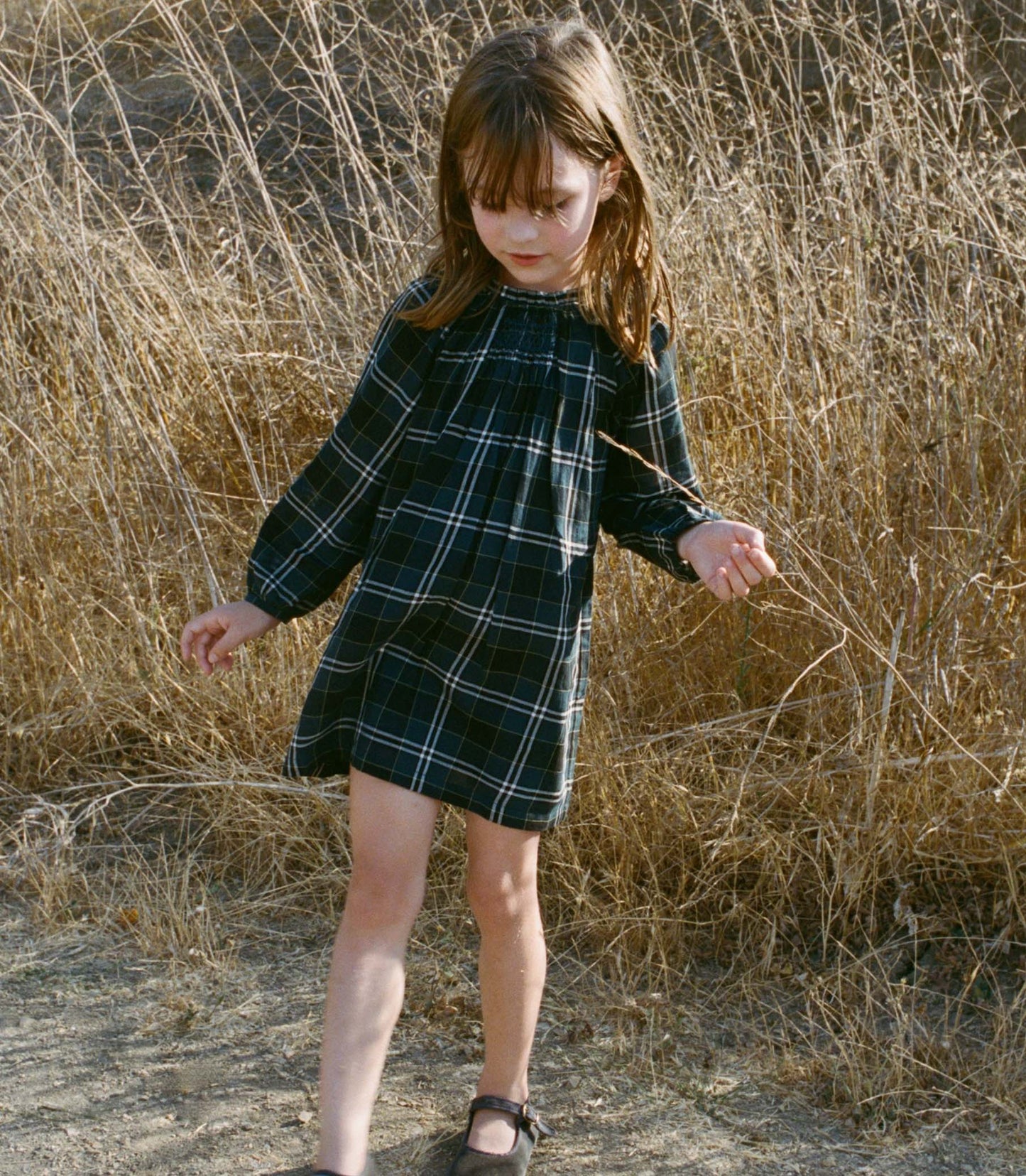 Young girl in a plaid dress standing in dry grass