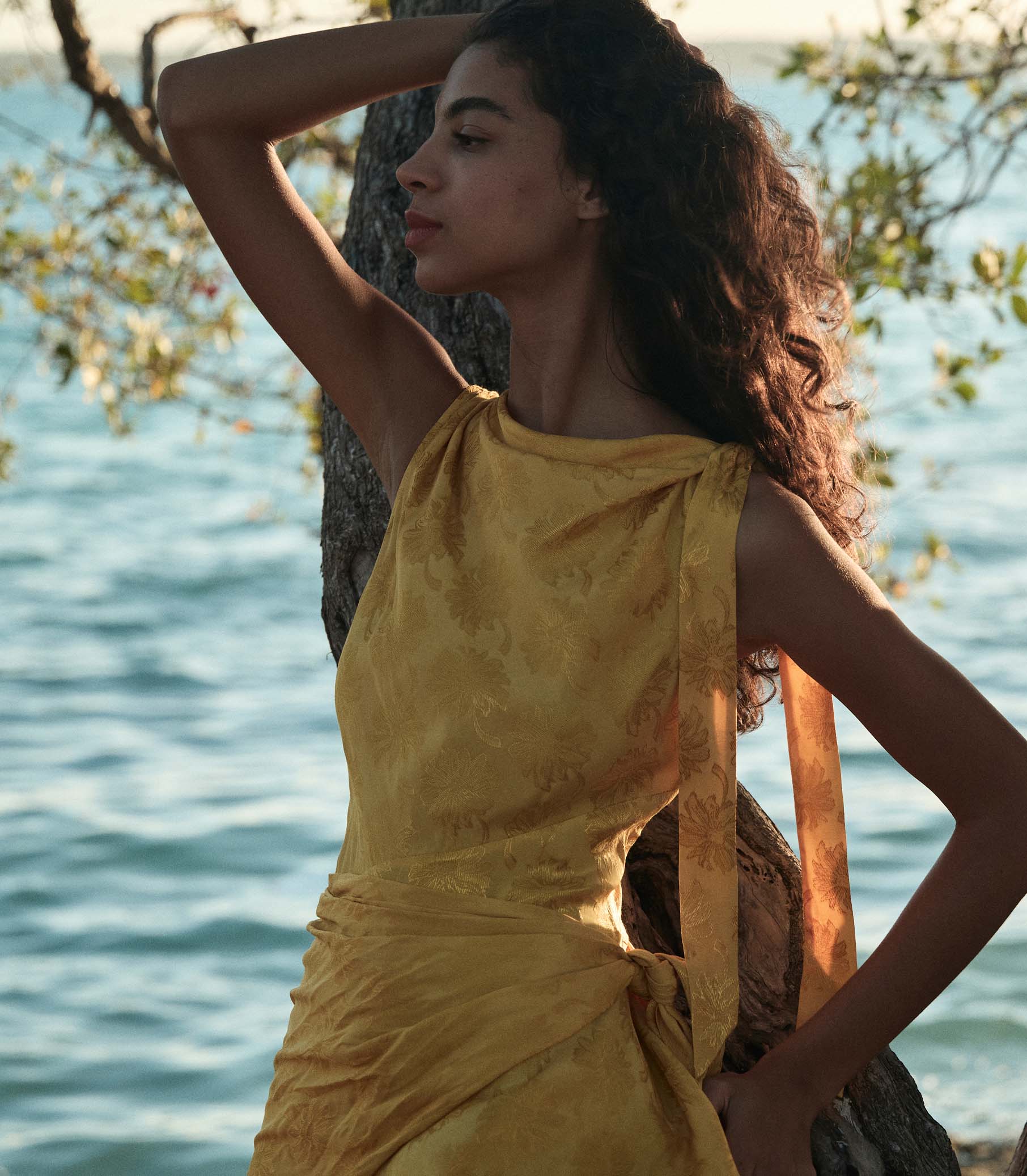 MARCELLA DRESS -- GILDED MARGUERITE JOLIE view 3