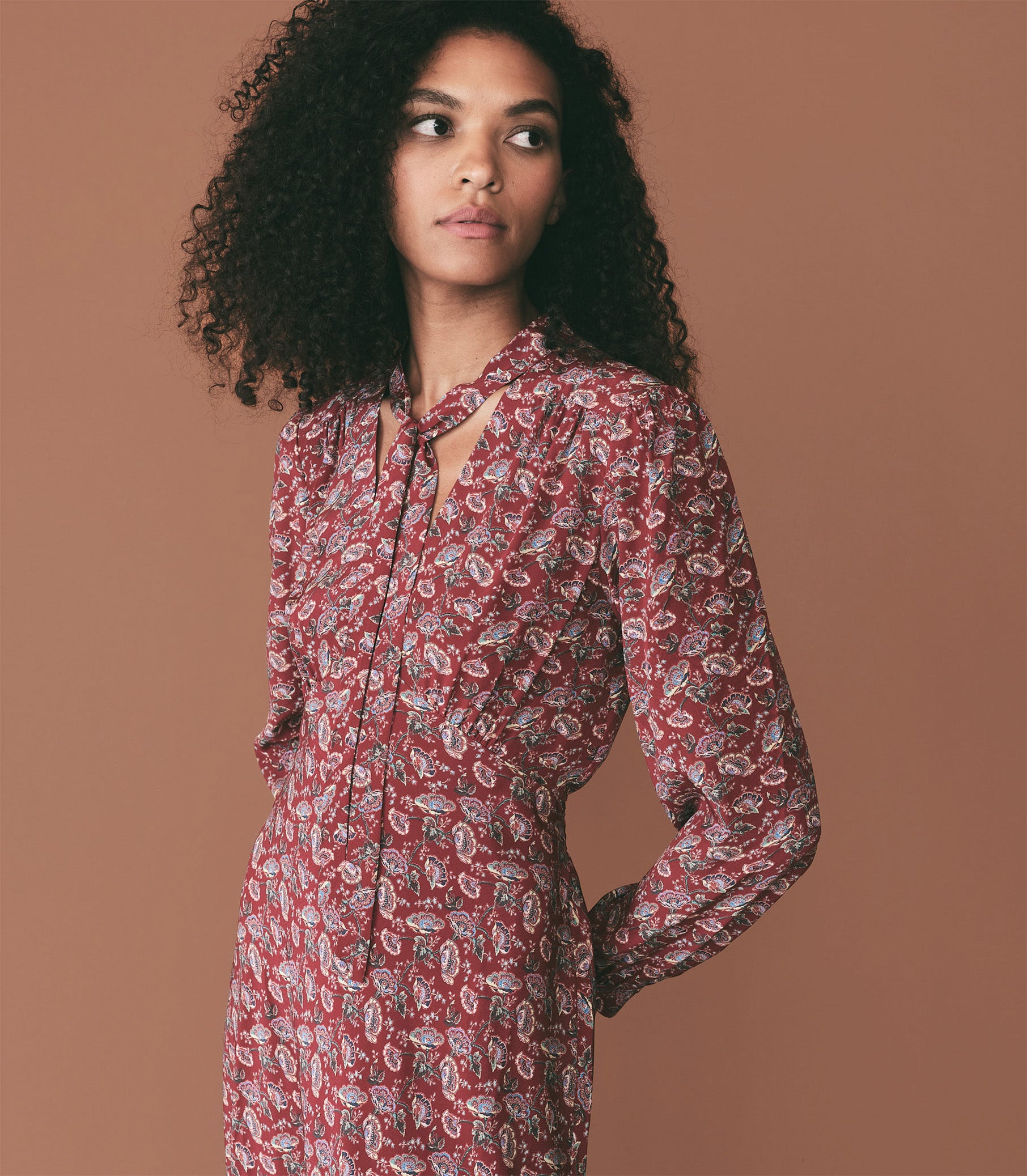 CHANSON DRESS -- GARNET ARBOR ROSE FLORAL view 4