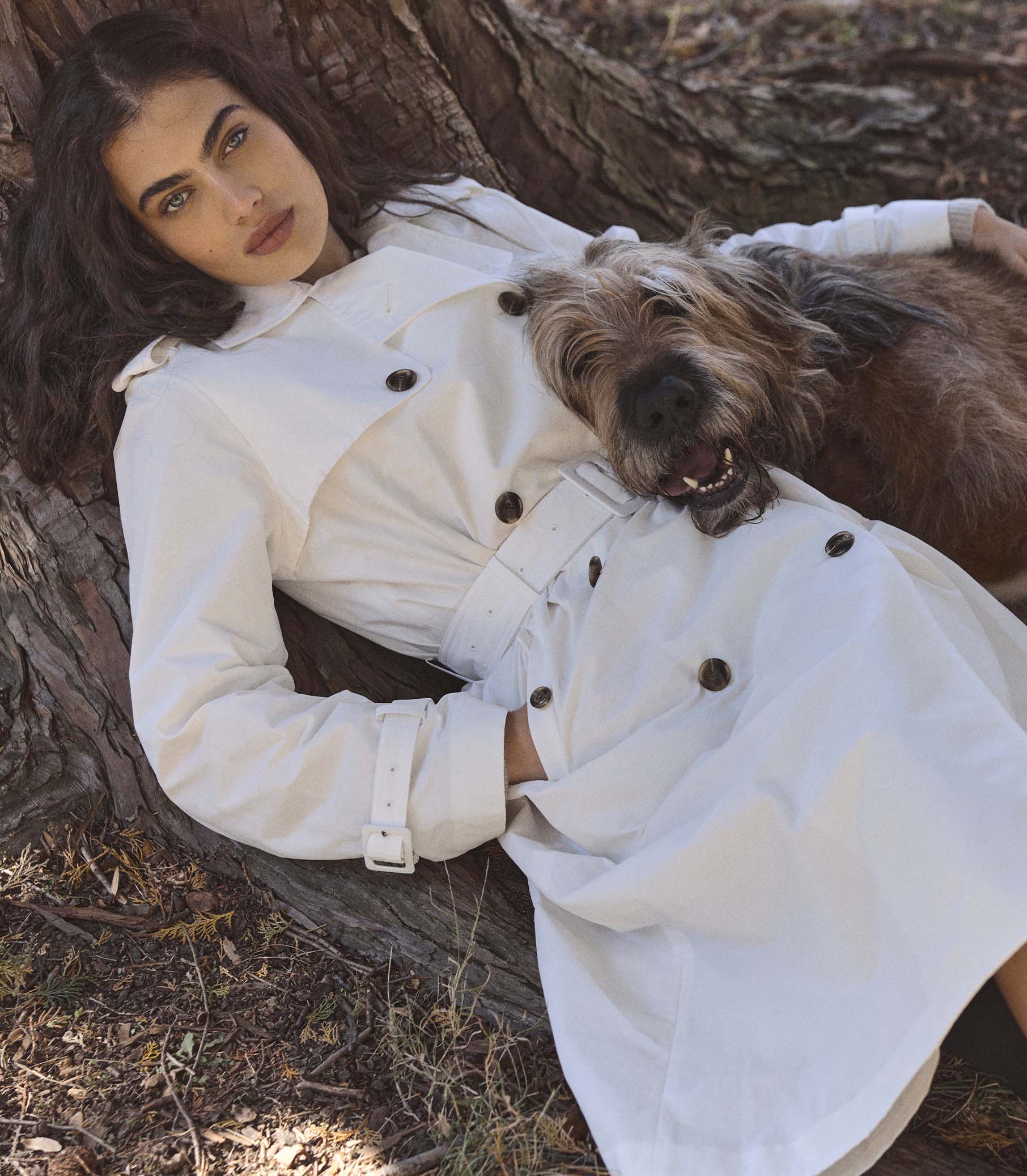 AMHERST TRENCH -- SALT view 2
