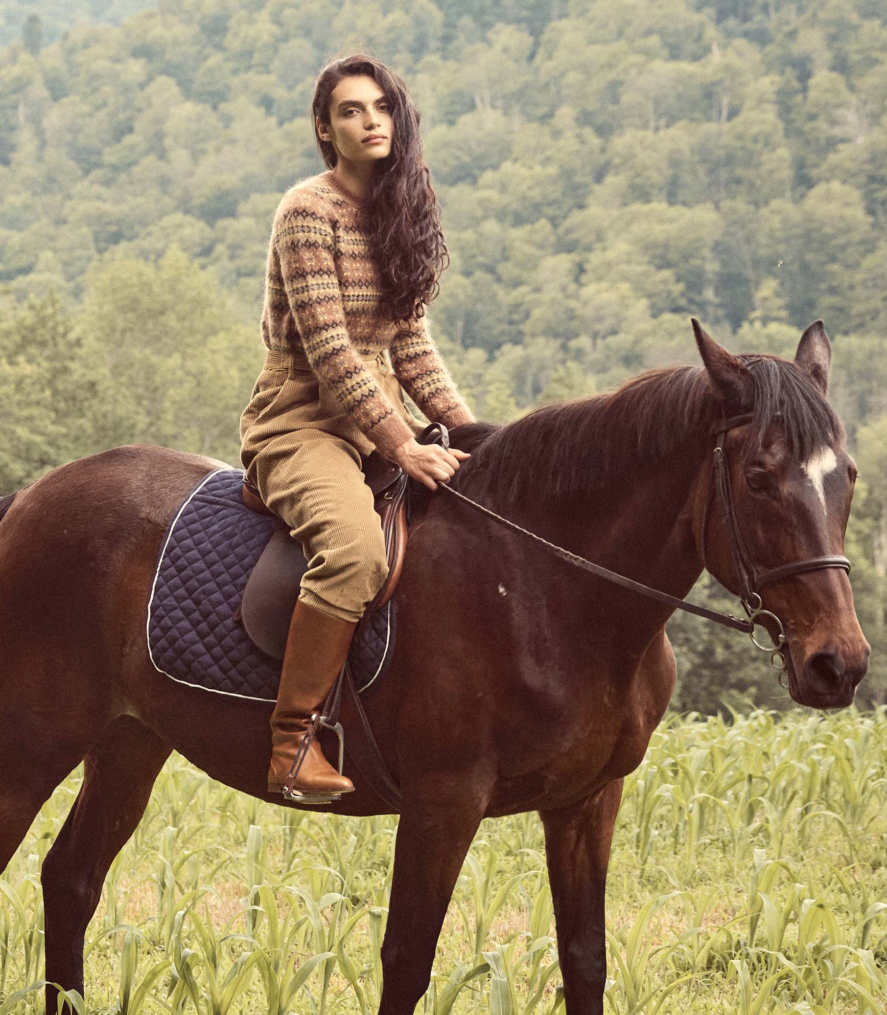 HMD -- ATHERTON PANT -- CHESTNUT BROWN view 3