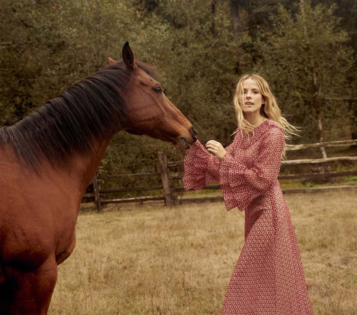 HMD -- CONSTELLATION DRESS -- POPPY