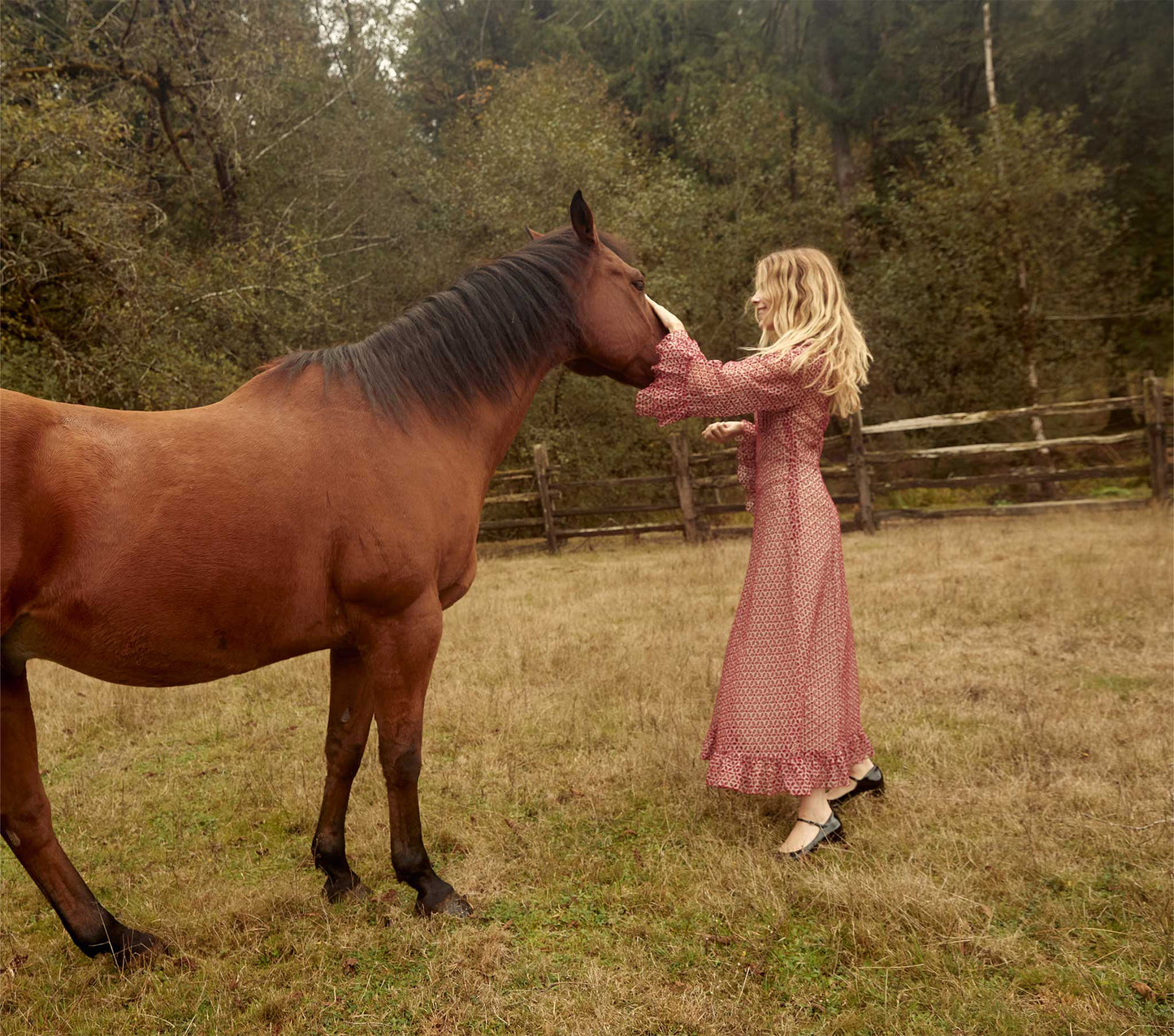 HMD -- CONSTELLATION DRESS -- POPPY