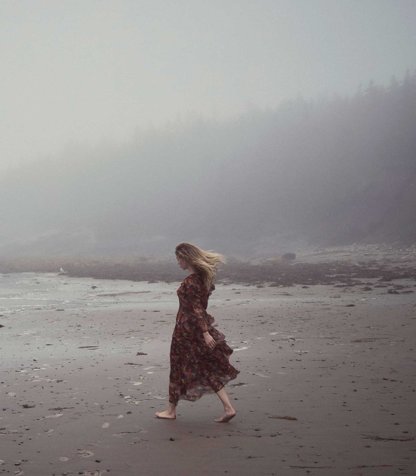 HMD -- ALOUETTE DRESS -- MOONLIT GARDEN