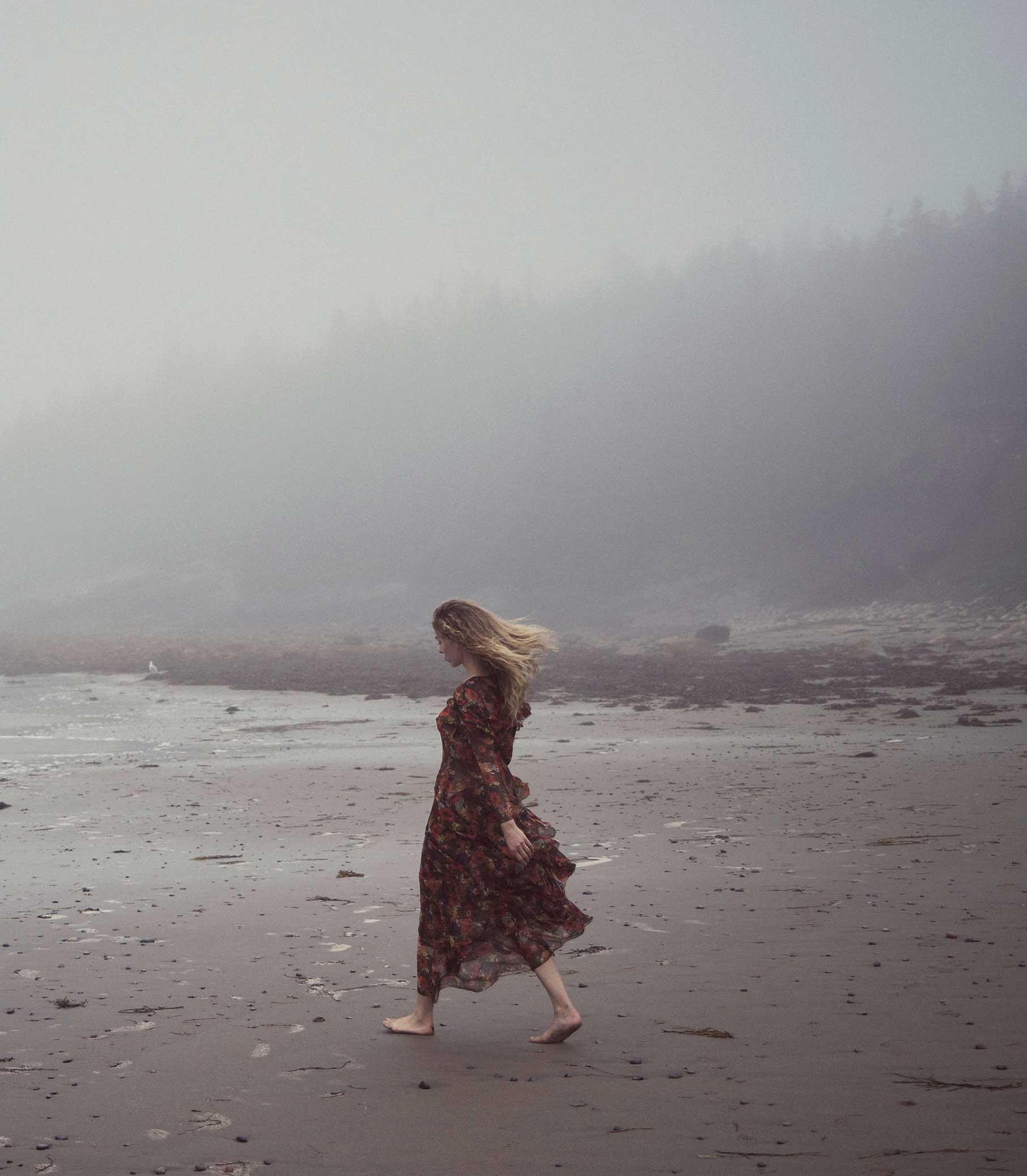 HMD -- ALOUETTE DRESS -- MOONLIT GARDEN view 5
