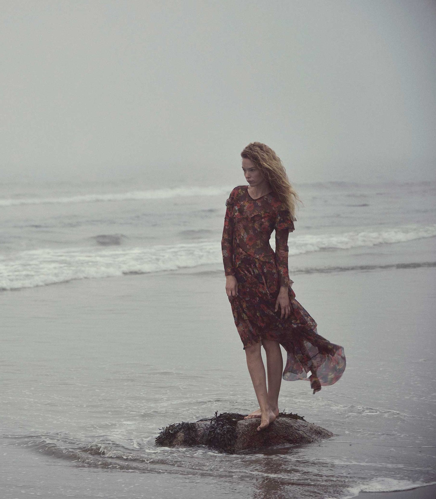 HMD -- ALOUETTE DRESS -- MOONLIT GARDEN