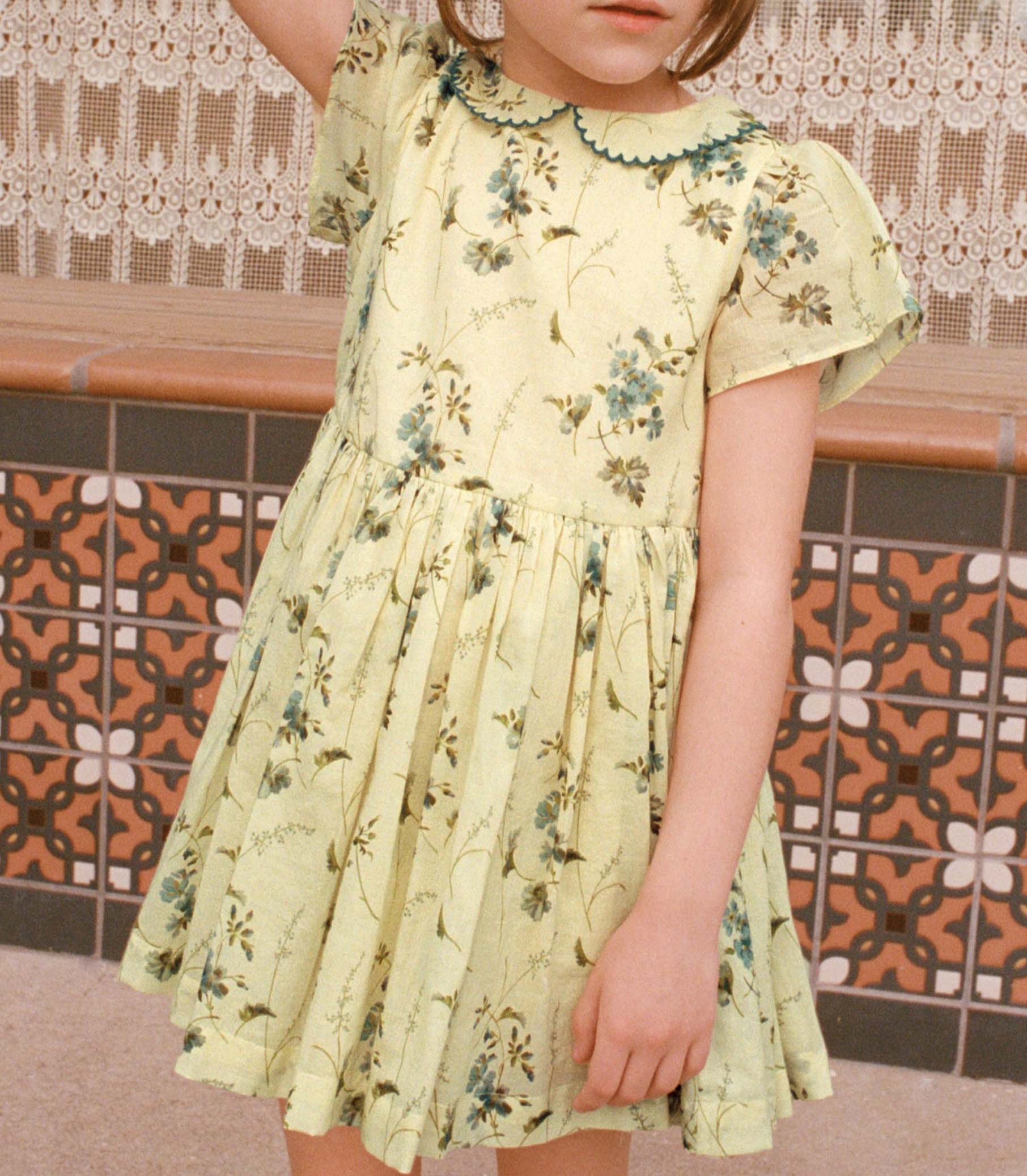 DUA DRESS -- SUNSHINE PRAIRIE ROSE view 2
