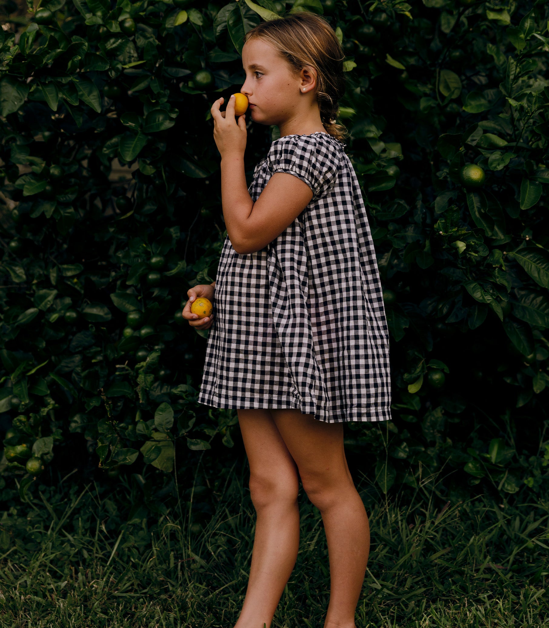 ESA DRESS -- NOIR GRETA GINGHAM view 5