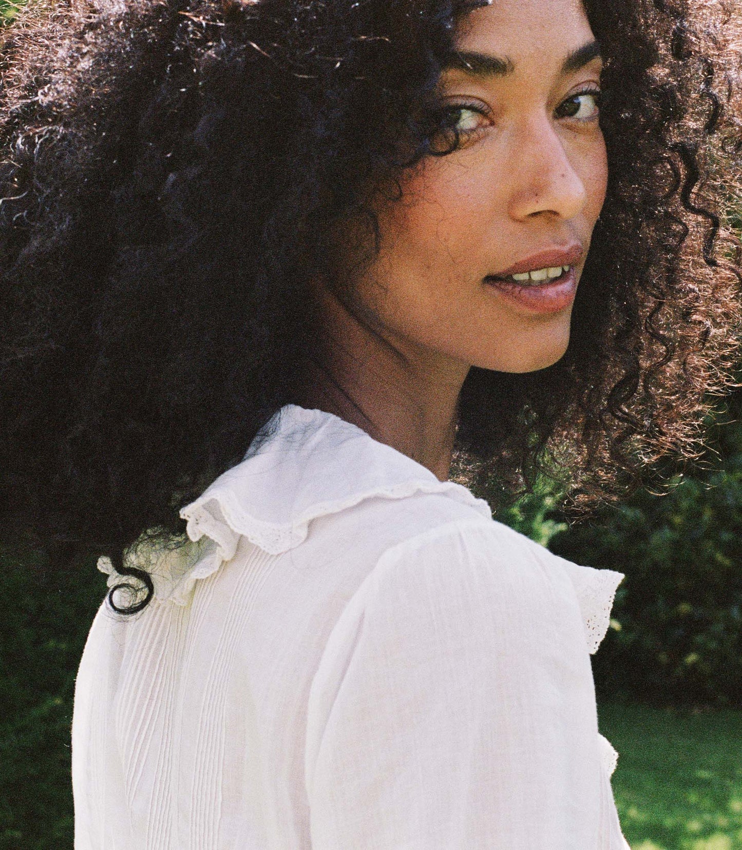 HMD -- HARDY TOP -- SALT