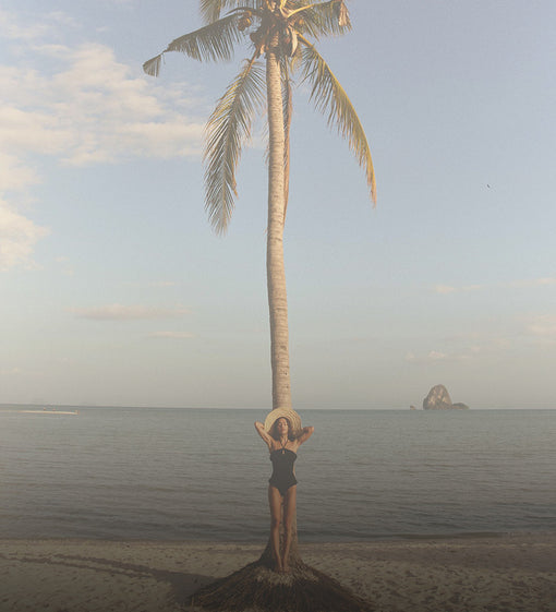 Person standing on a beach with a palm tree, holding a hat, and looking at the ocean.