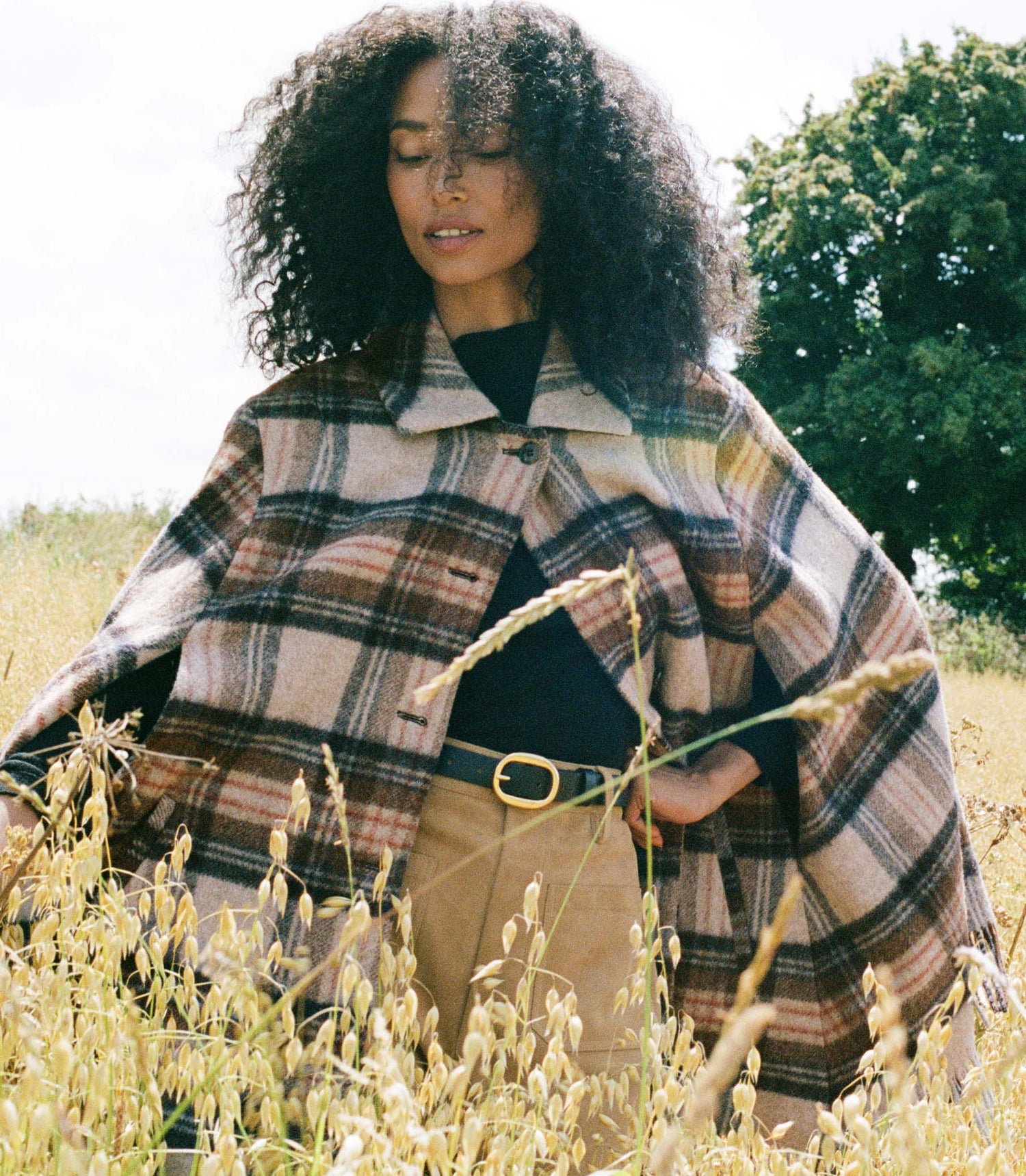 Checks & Stripes