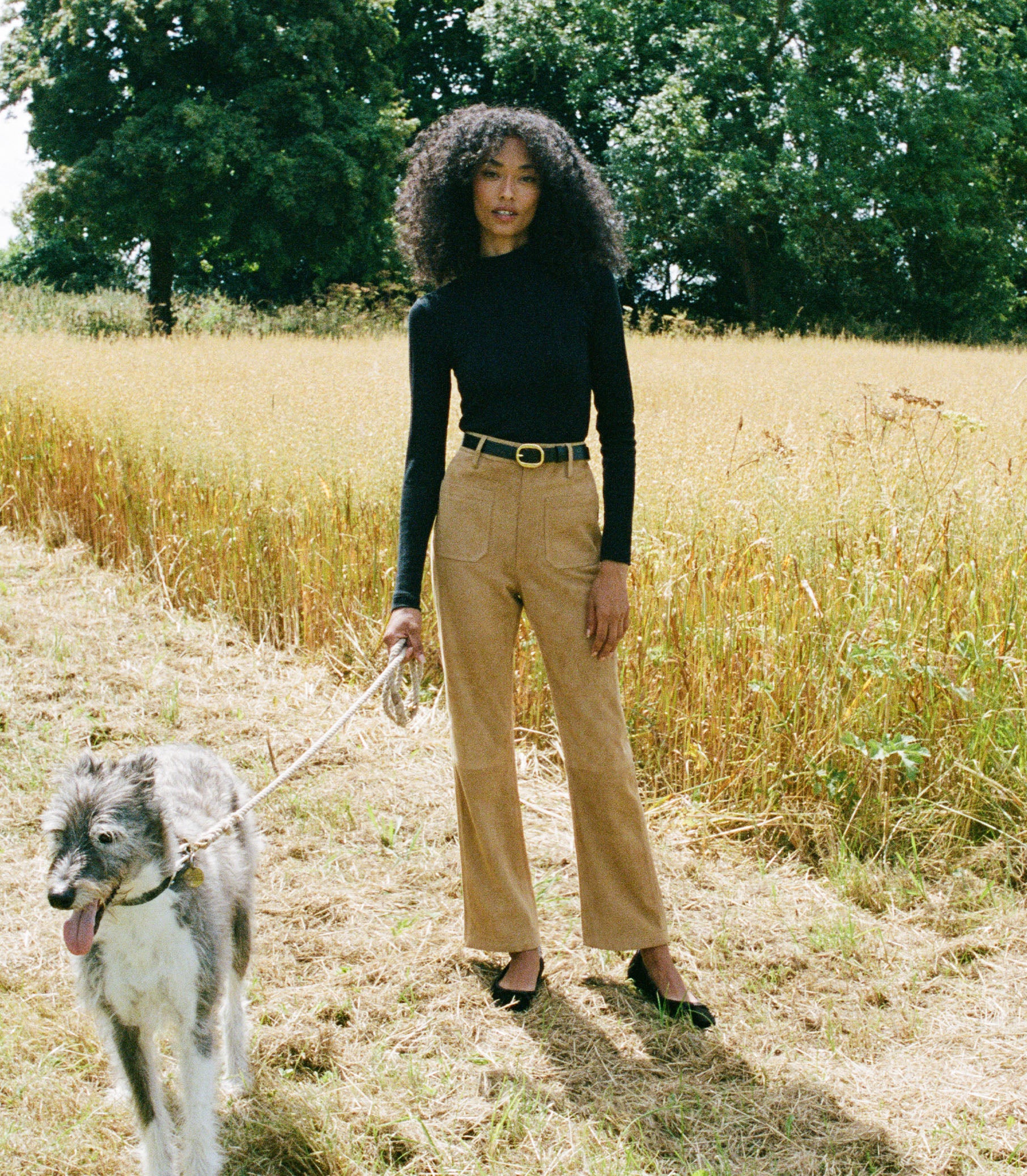 LEAH SUEDE PANT -- STAG