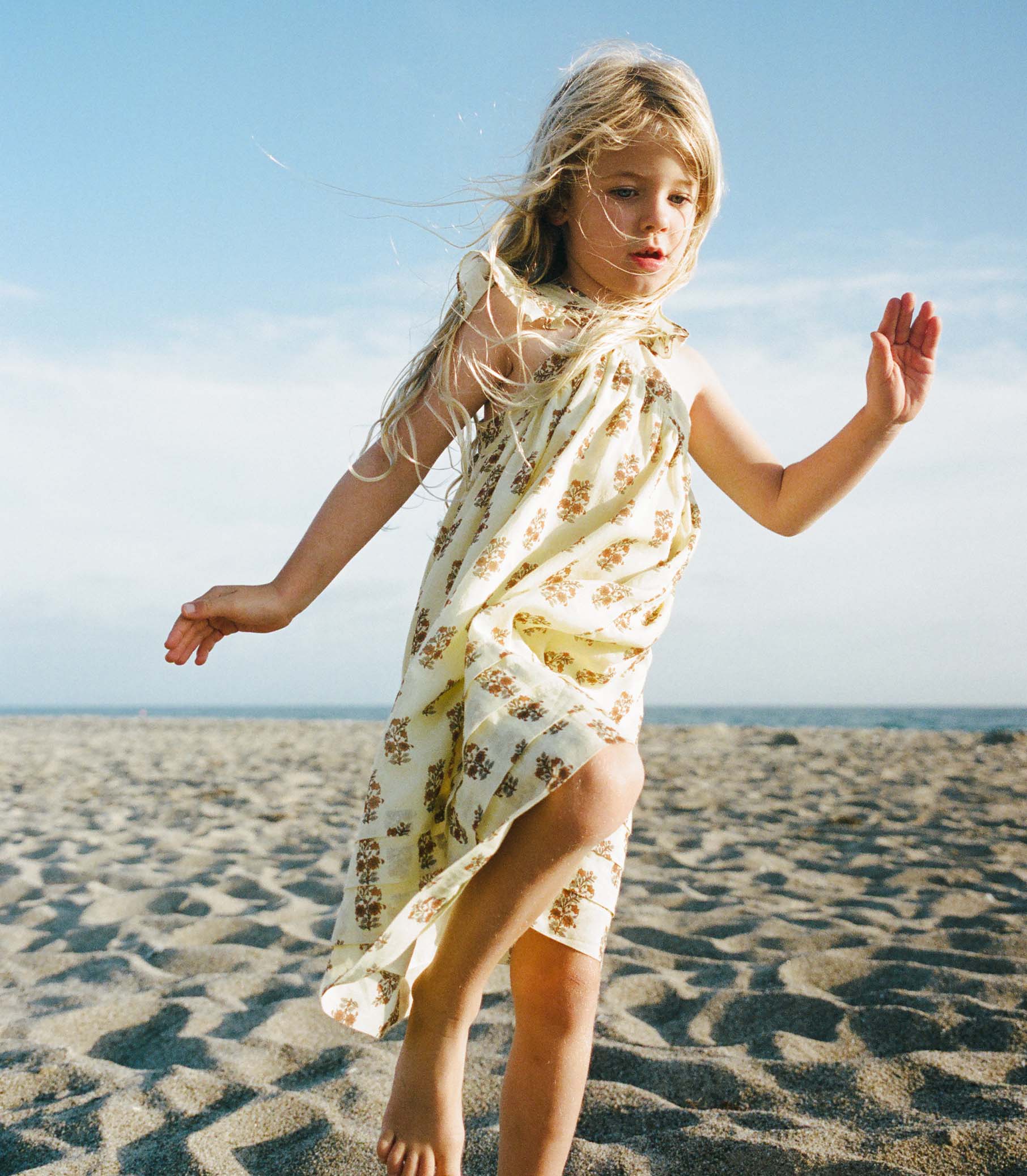 LITTLE NISHA DRESS -- DANDELION GROVE view 5
