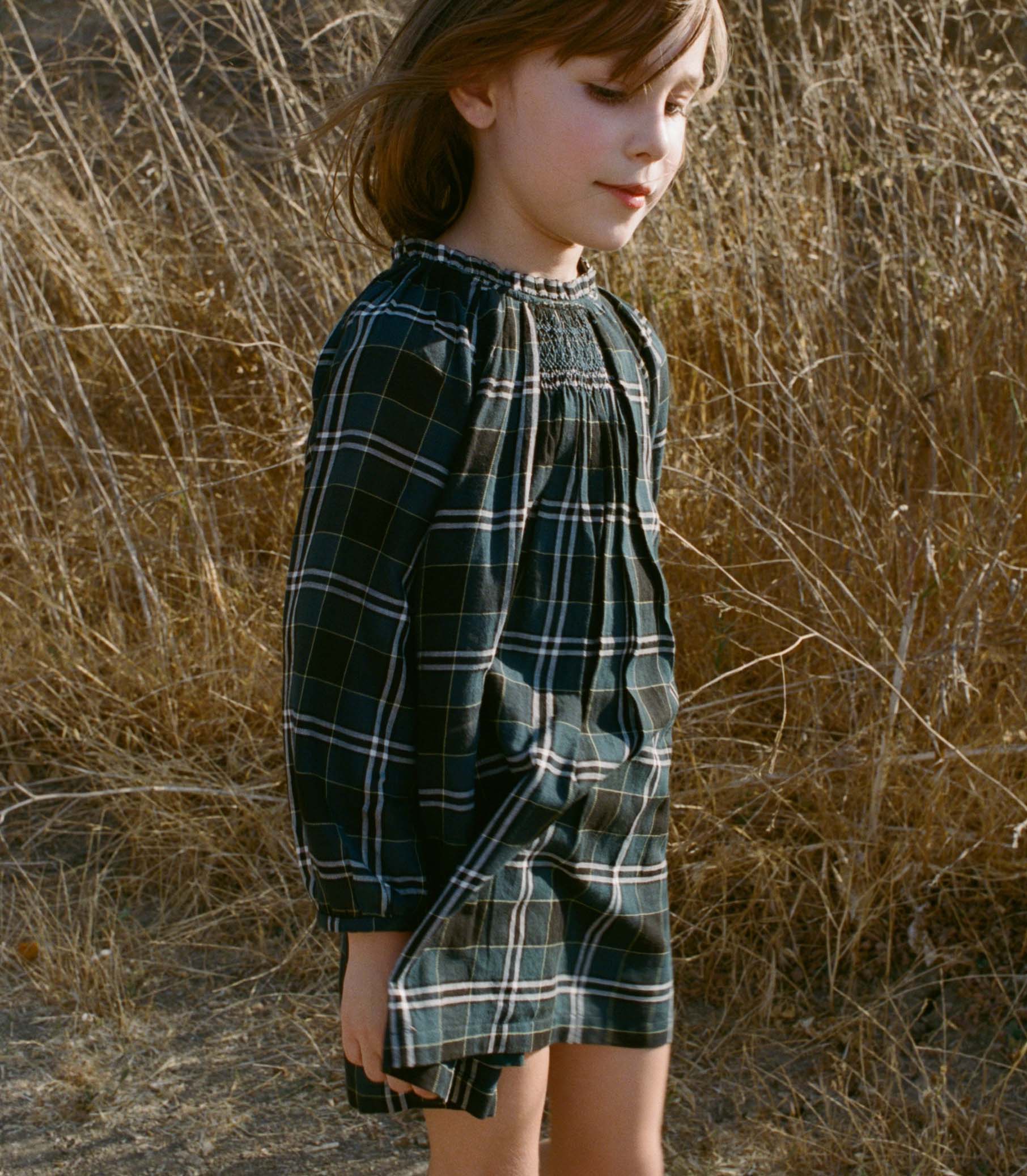 LUCY DRESS -- AMBLE PLAID view 4