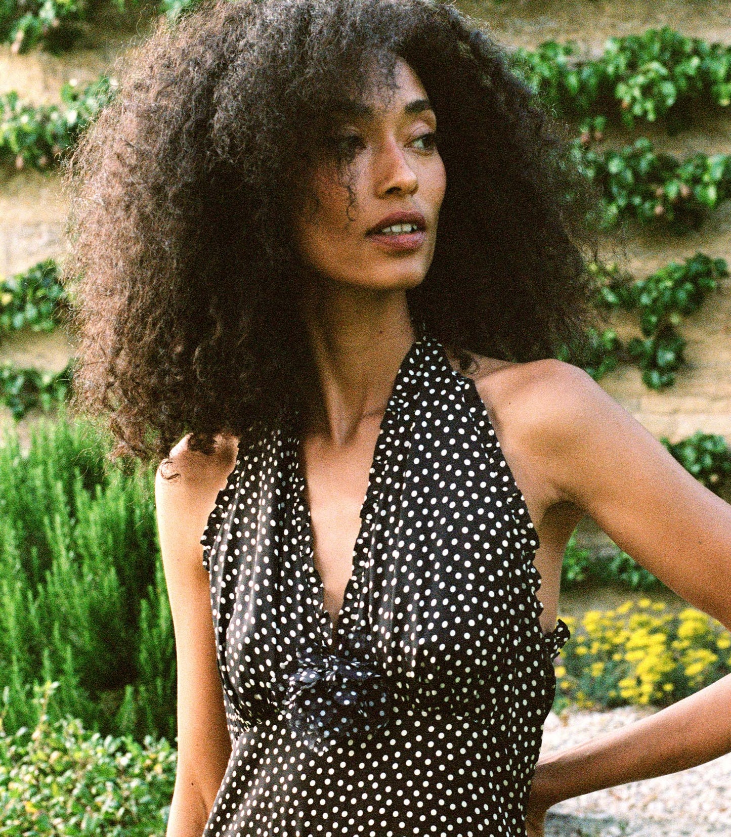 HMD -- MAZARIN DRESS -- CAMILLE DOT