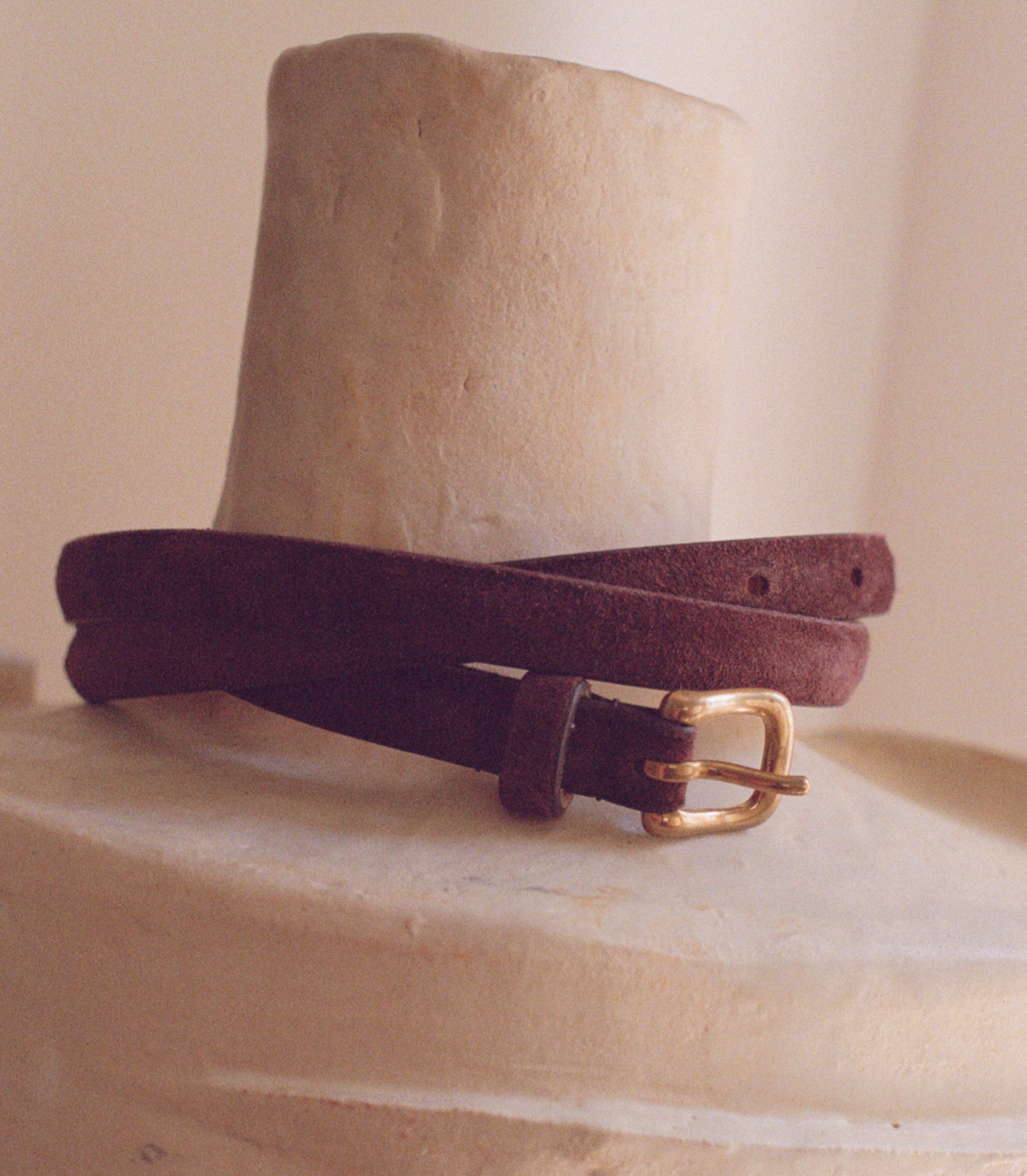 ZAZA BELT -- EQUESTRIAN BROWN SUEDE view 14
