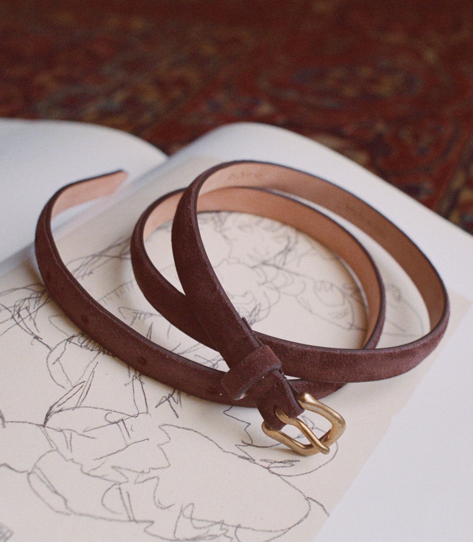 ZAZA BELT -- EQUESTRIAN BROWN SUEDE view 15
