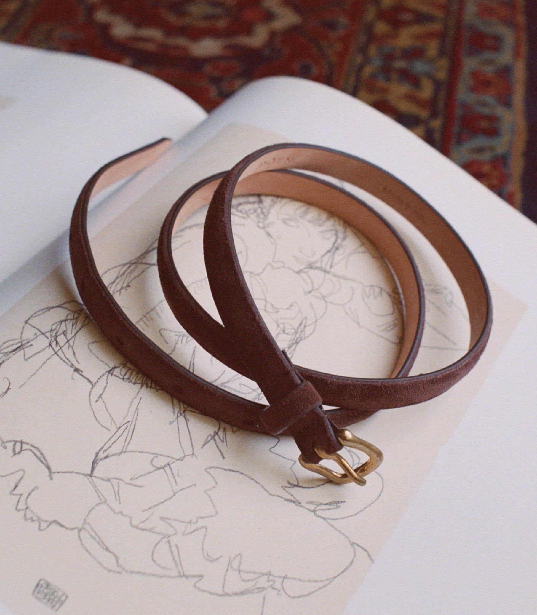 ZAZA BELT -- EQUESTRIAN BROWN SUEDE view 16
