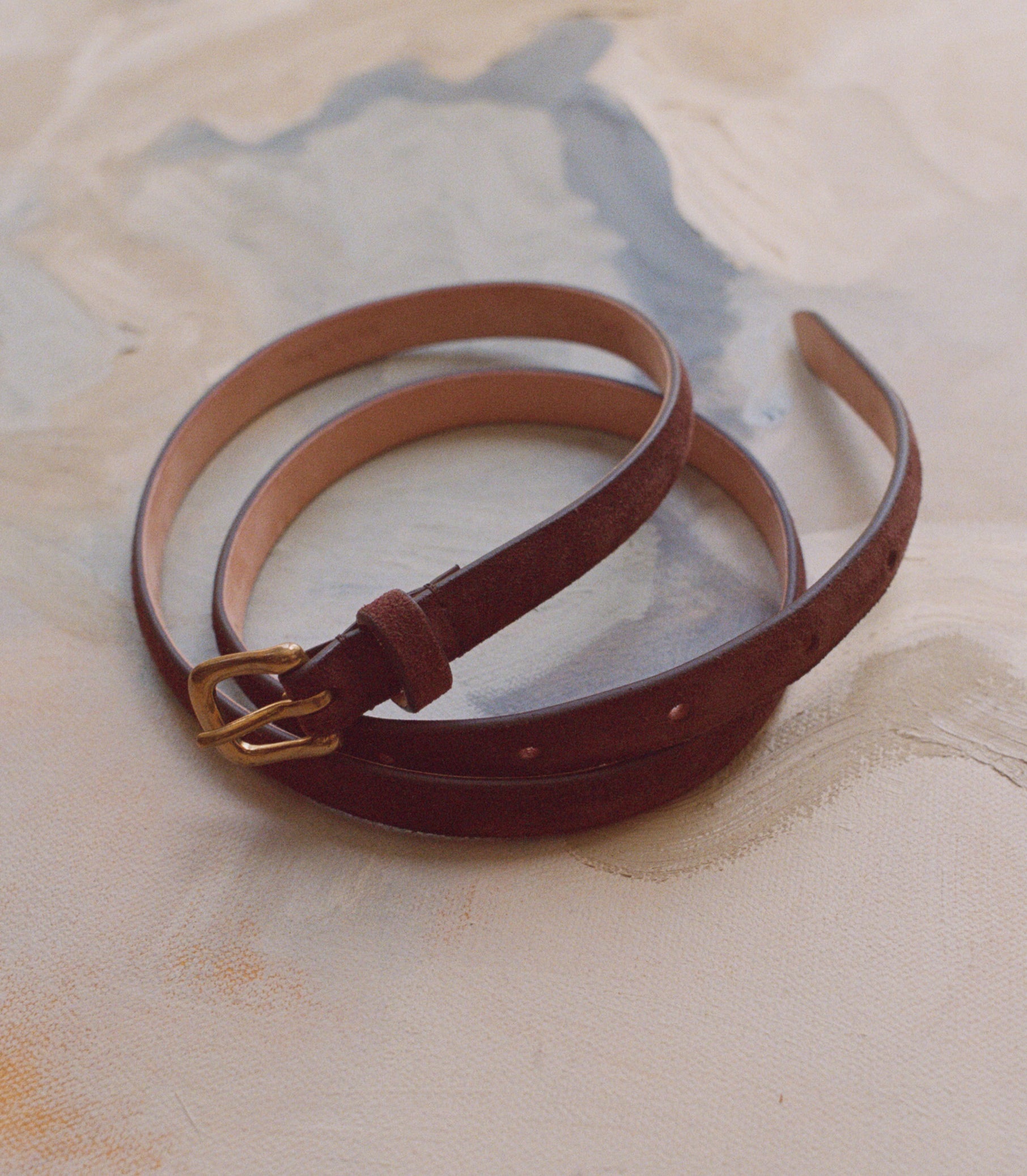 ZAZA BELT -- EQUESTRIAN BROWN SUEDE view 17
