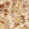 CREAM TISBURY PAISLEY