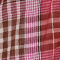 FRANCINE PLAID
