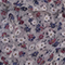 MARGUERITE FLORAL