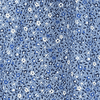 MIDBLUE CALIFORNIA WILDFLOWER