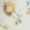 MOSS PAPILLON FLORAL