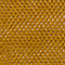 MUSTARD CHAMBIRA