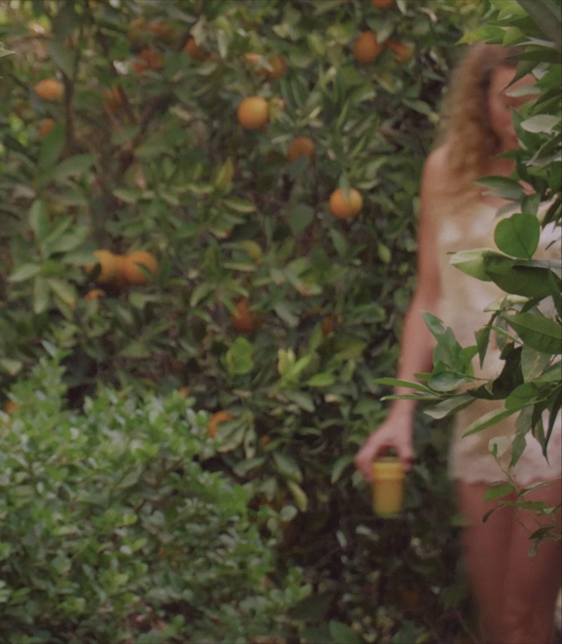 IONA SHORT -- GATEAU view 4
