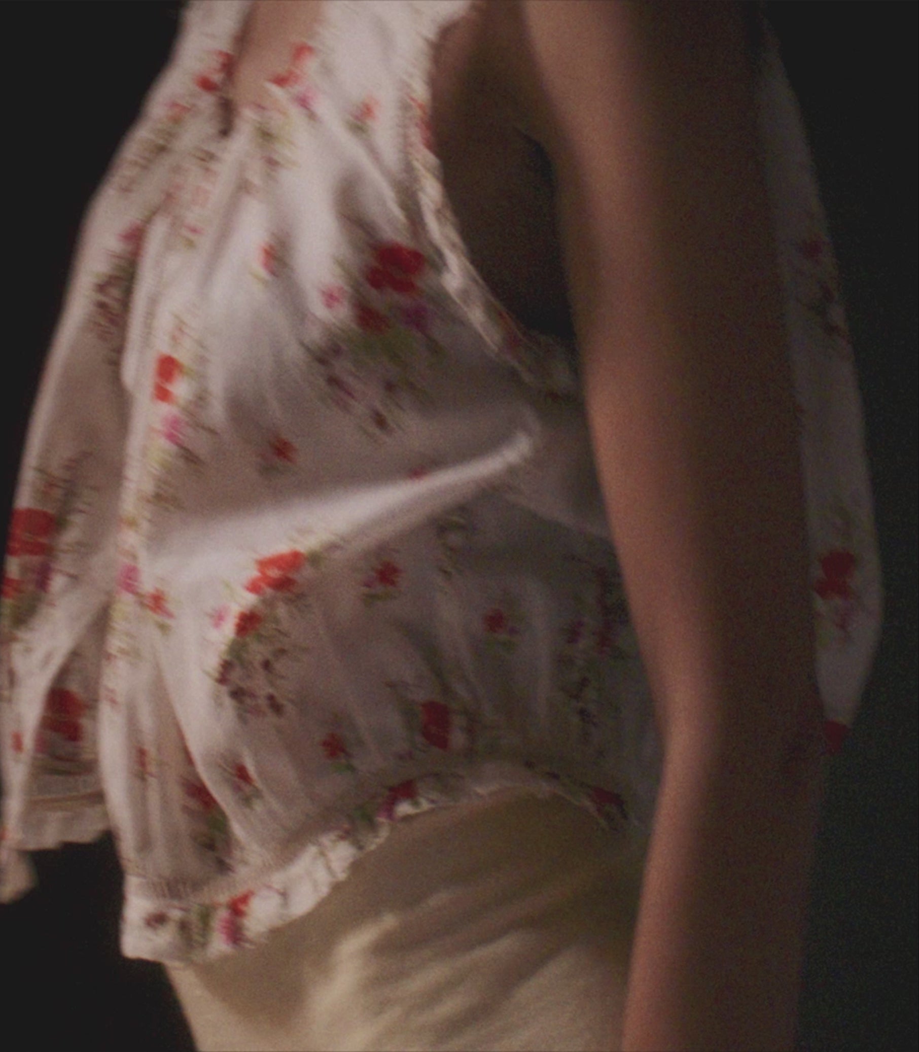 TRAVELER TOP -- ROSE PETIT BOUQUET DE CHAMONIX view 5
