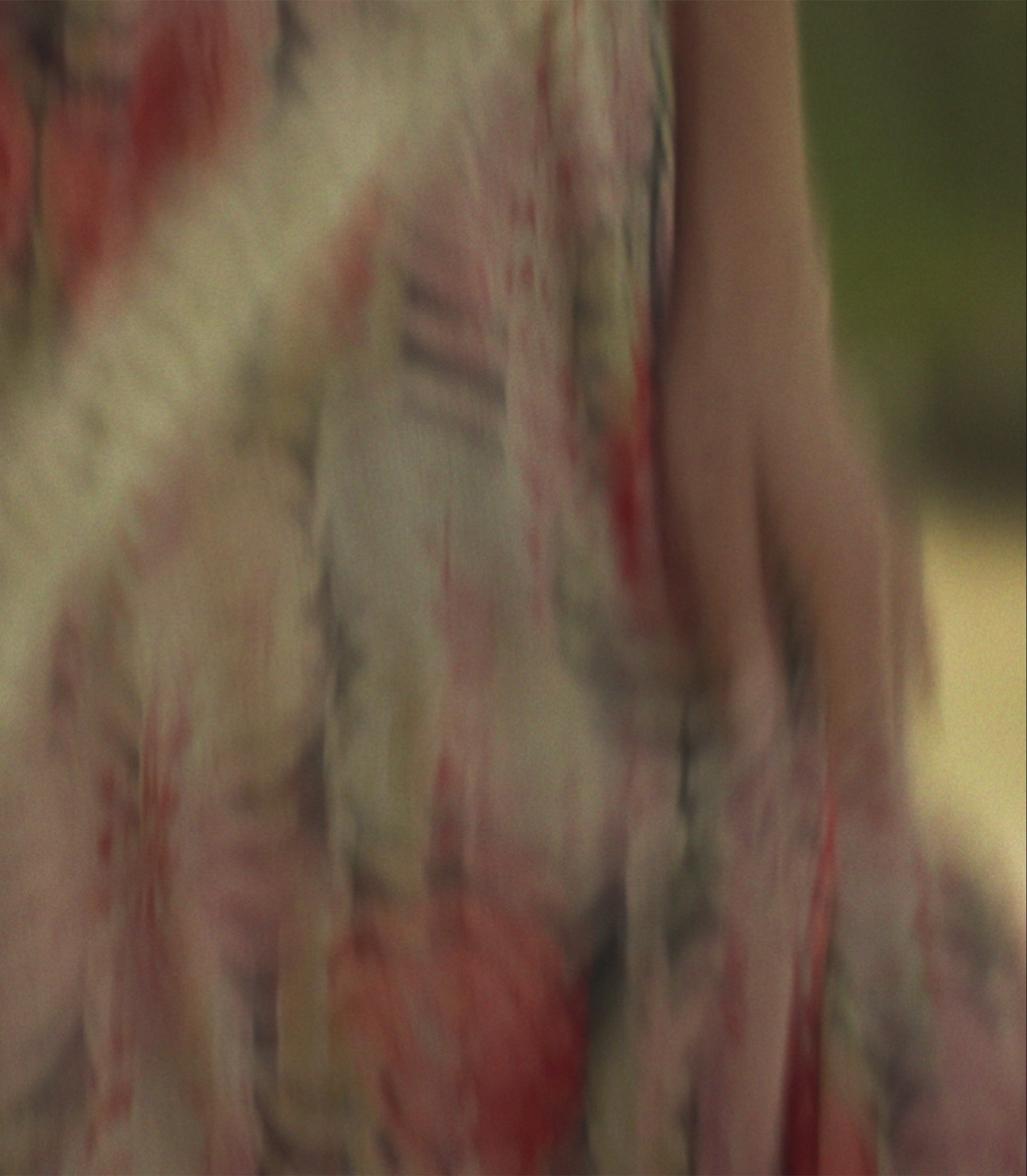 LISELOTTE DRESS -- VALLEE DES TULIPES view 4

