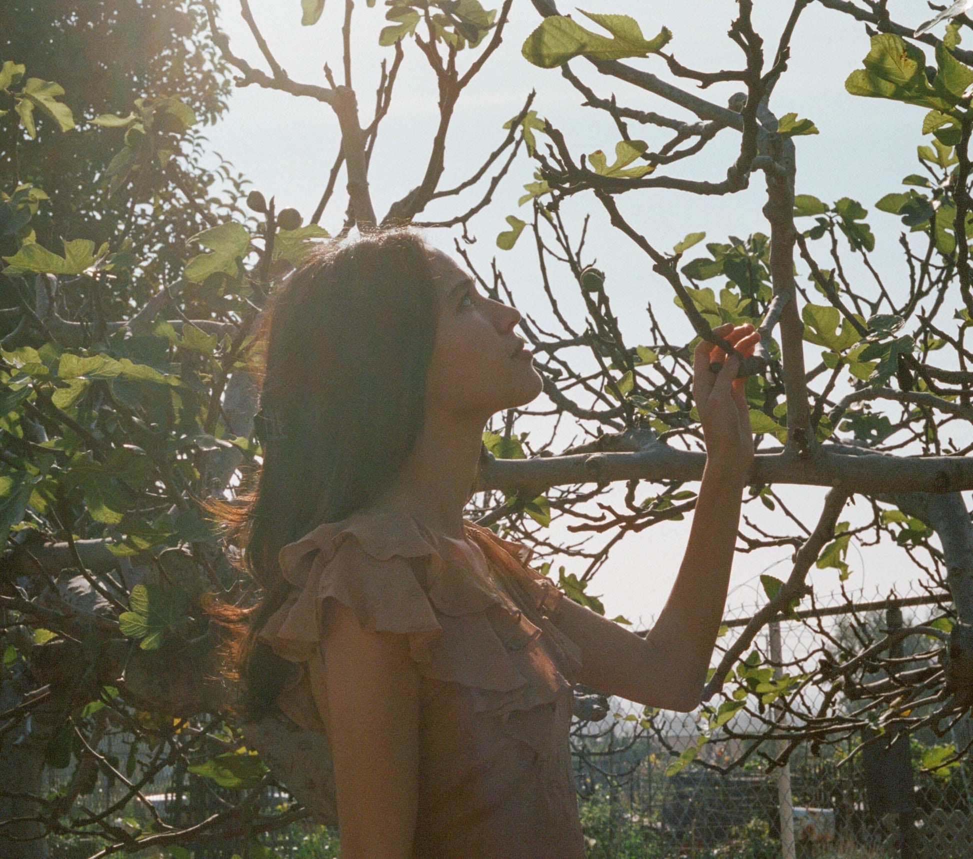 HMD -- FLORA DRESS -- ADOBE view 6
