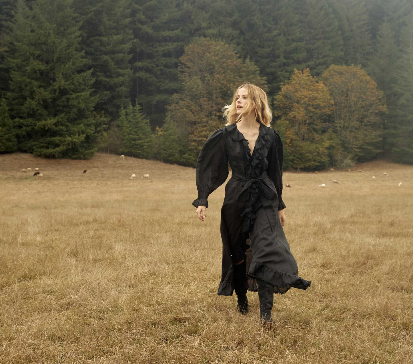 HMD -- NADIA DRESS -- BLACK