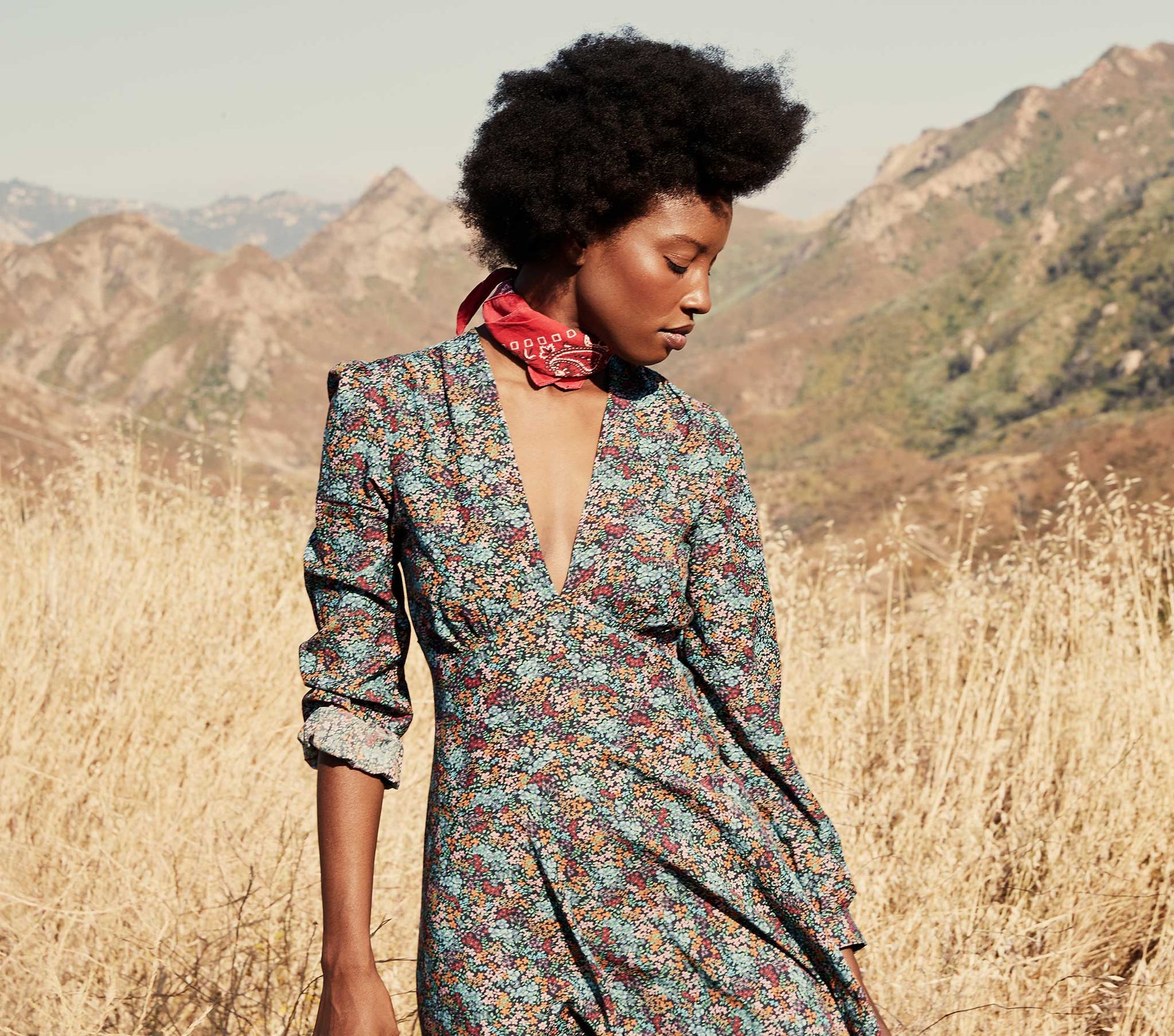 HMD -- CHARLESTON DRESS -- NAVY LADY BIRD FLORAL view 6
