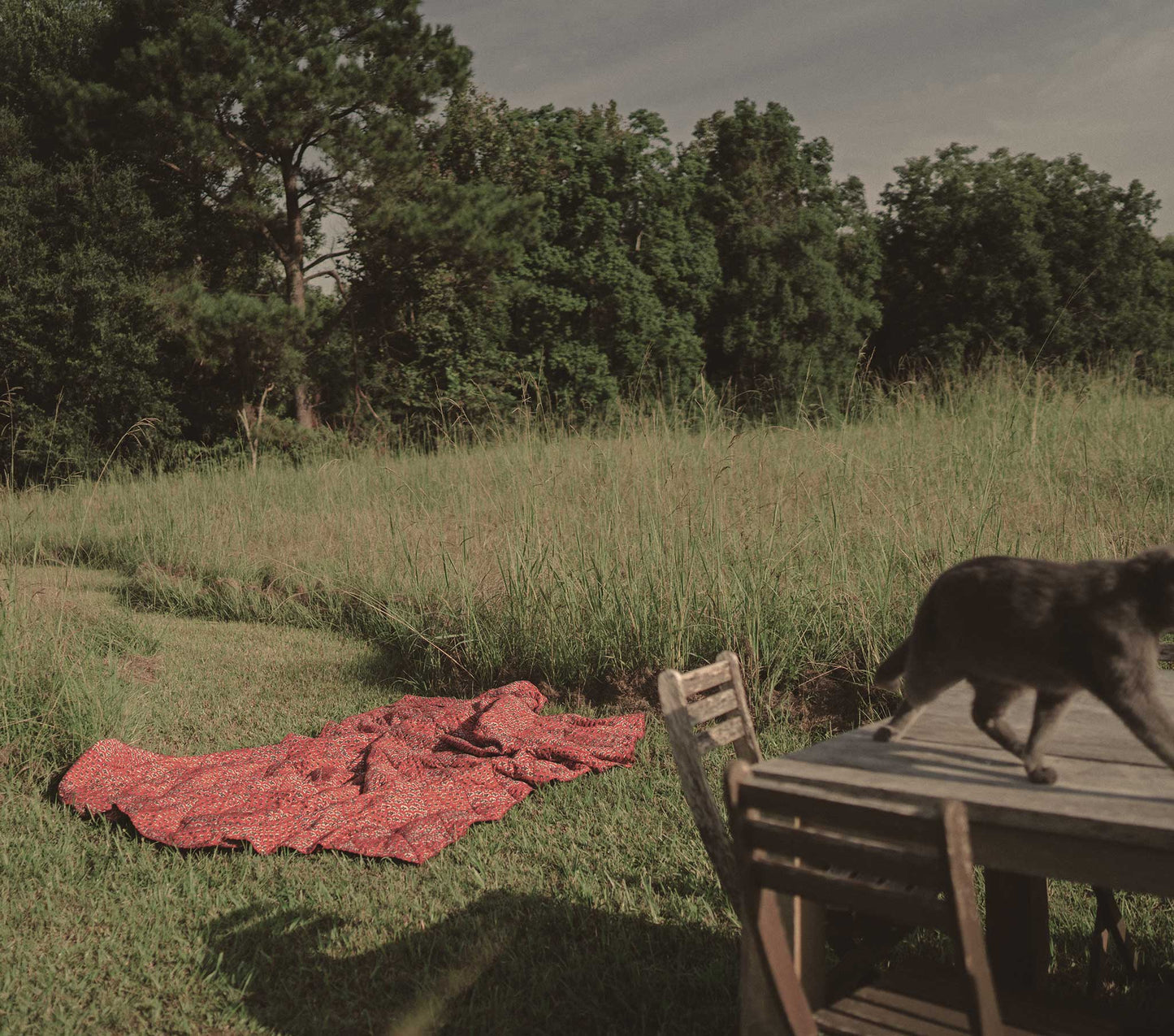 HMD -- QUEEN QUILT -- CALICO CANYON BLOOMS