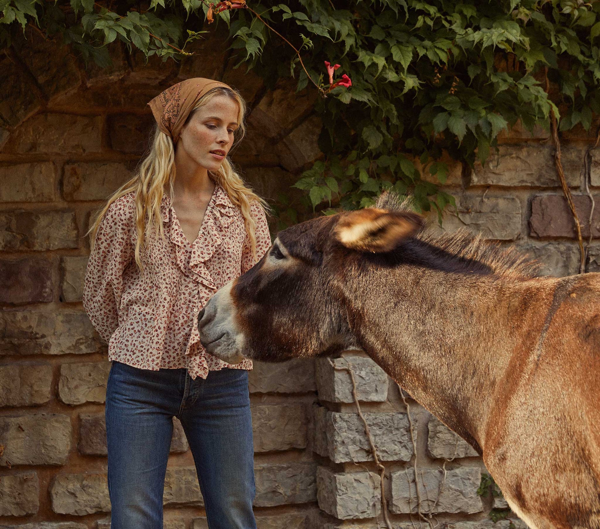 HMD -- HARDY TOP -- RUST SONGBIRD PAISLEY view 2
