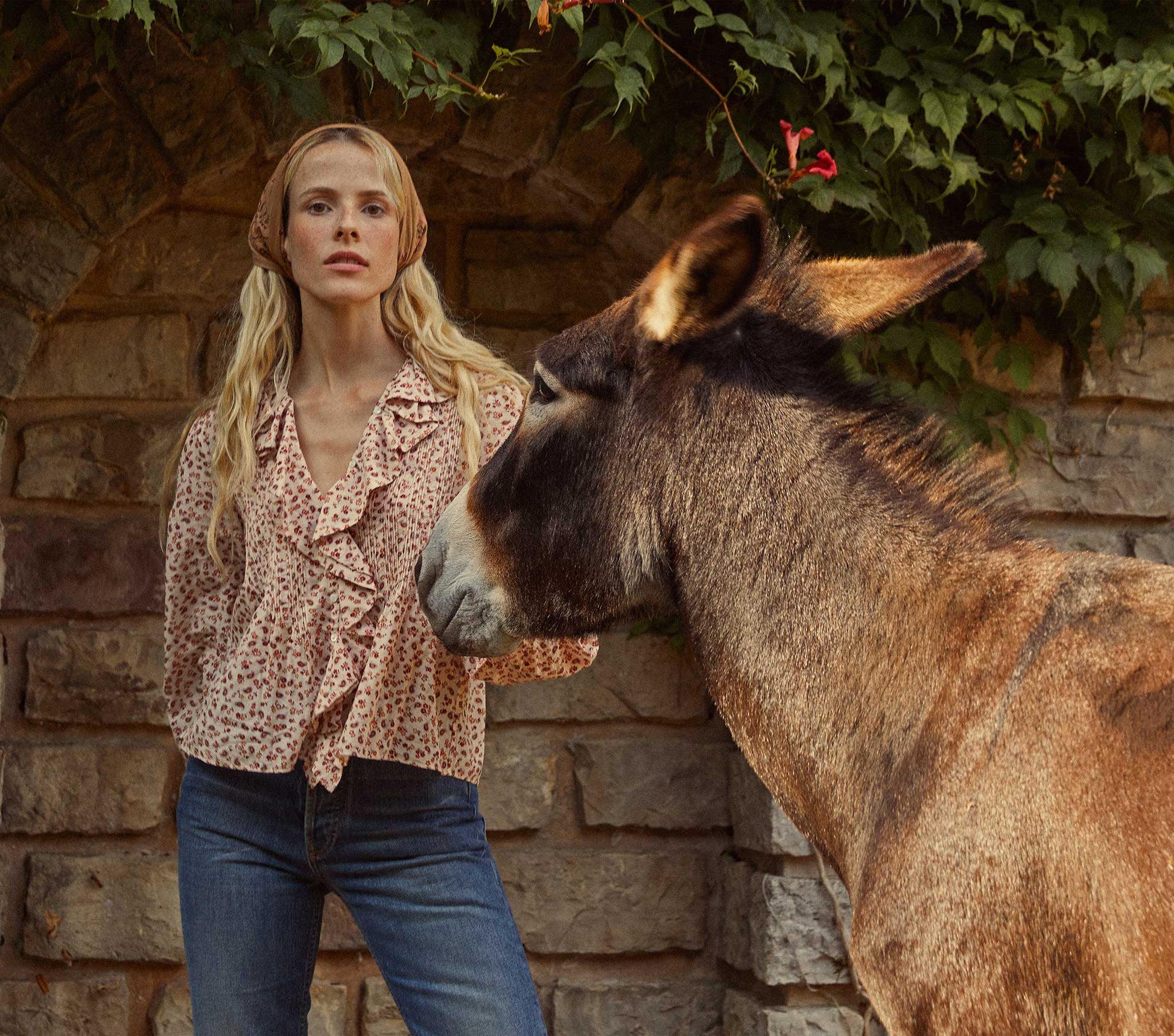 HMD -- HARDY TOP -- RUST SONGBIRD PAISLEY view 1
