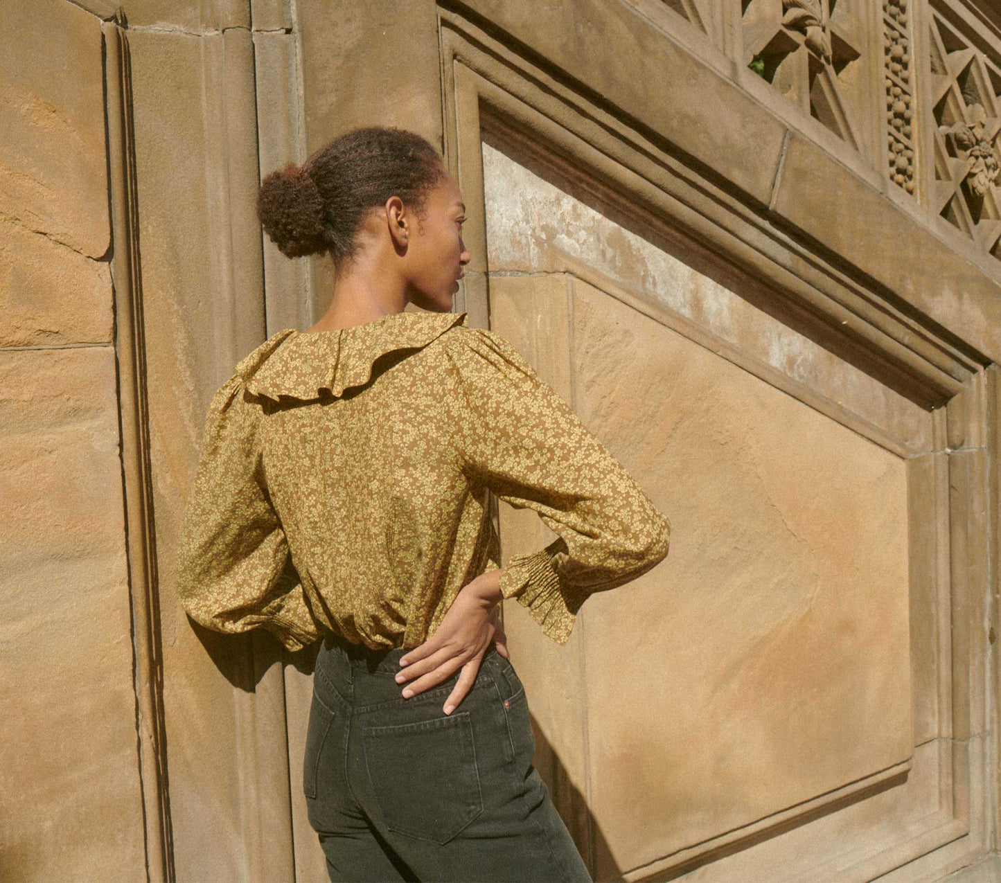 HMD -- HARDY TOP -- GOLD WINTER MEADOW