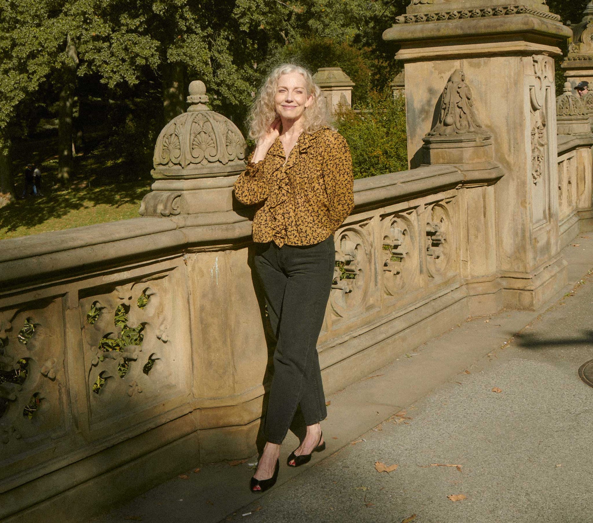 HMD -- HARDY TOP -- DUSK WINTER MEADOW view 3
