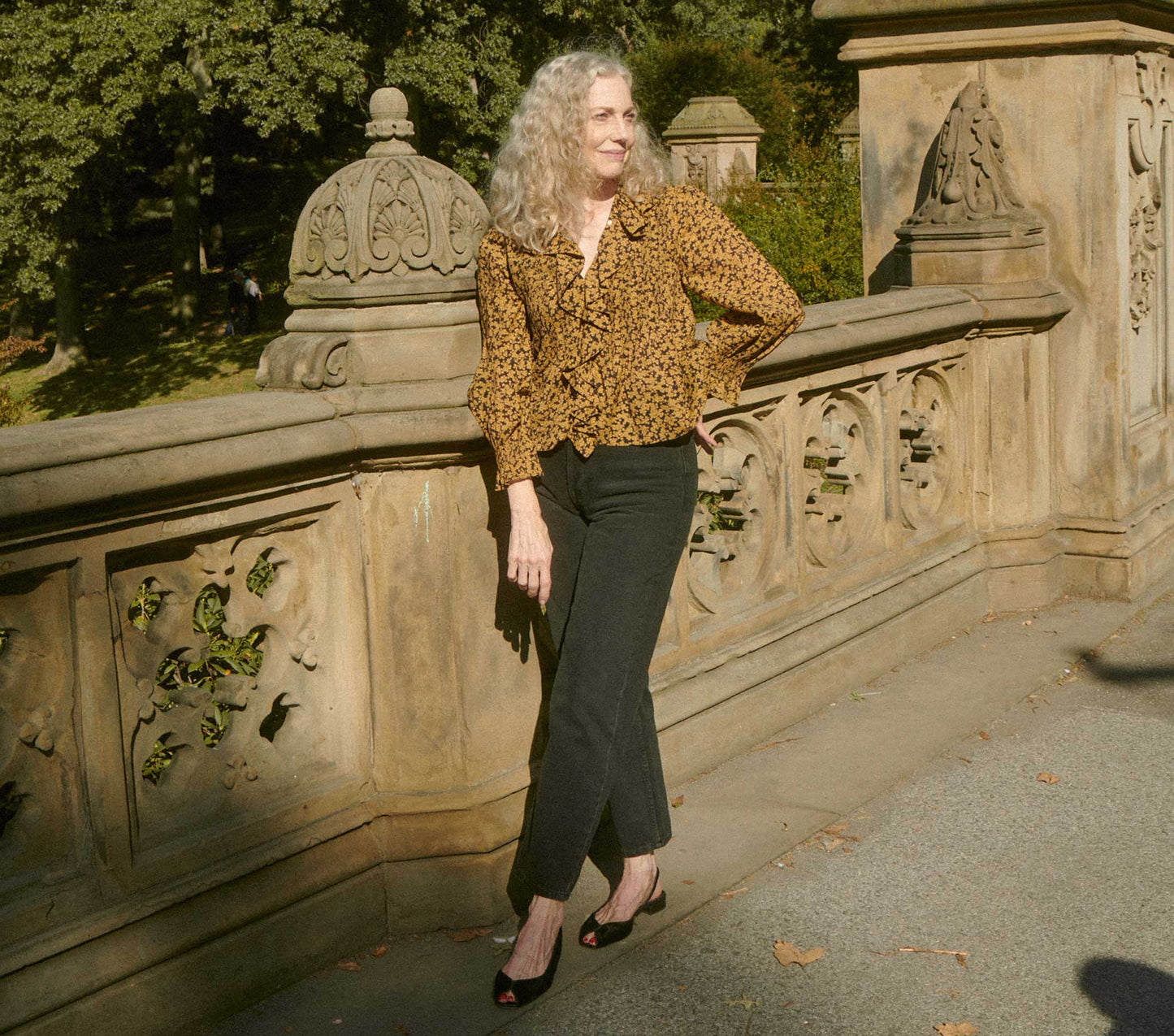 HMD -- HARDY TOP -- DUSK WINTER MEADOW