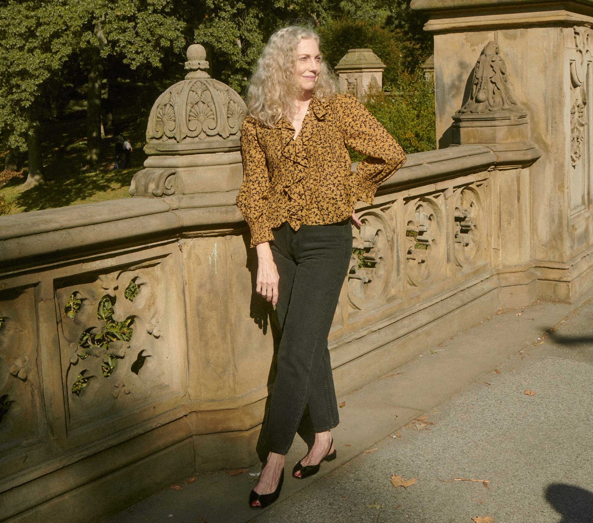 HMD -- HARDY TOP -- DUSK WINTER MEADOW view 2
