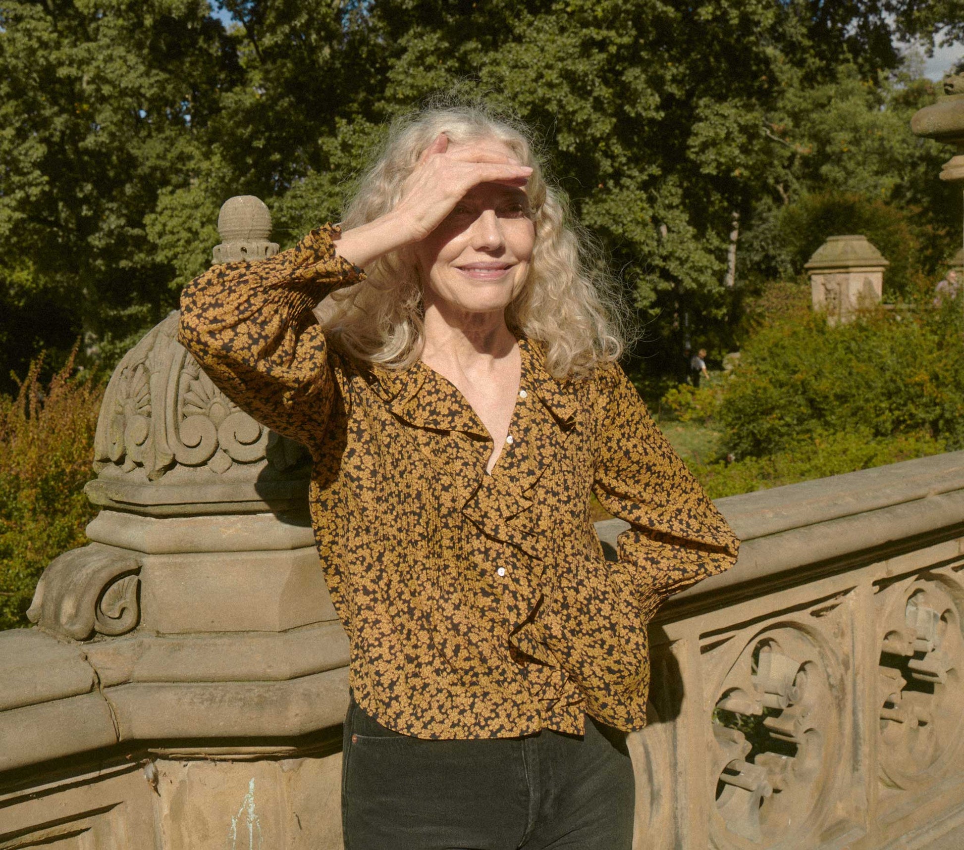 HMD -- HARDY TOP -- DUSK WINTER MEADOW view 1
