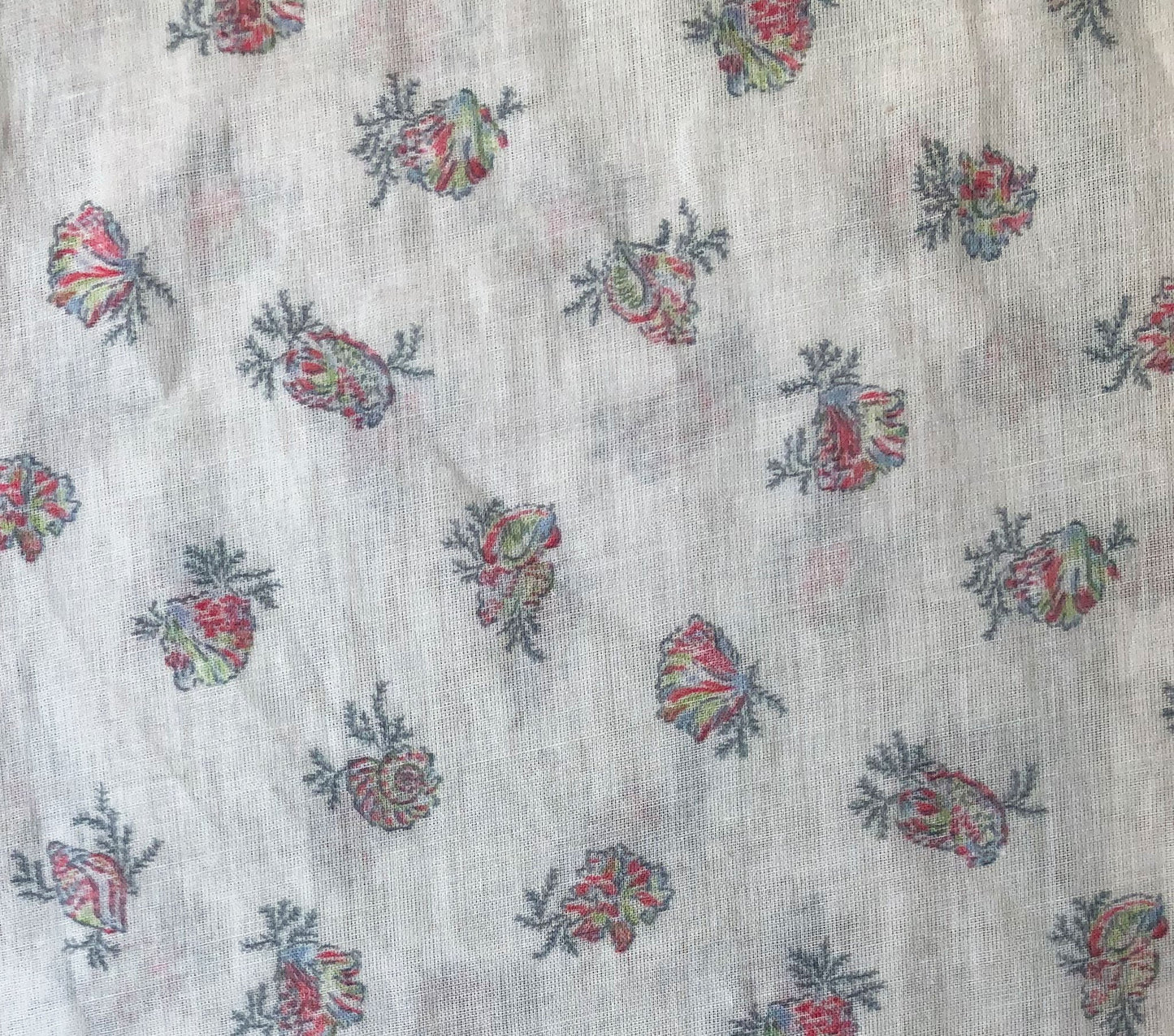 HMD -- HICKORY TOP -- COQUILLE MEDALLION