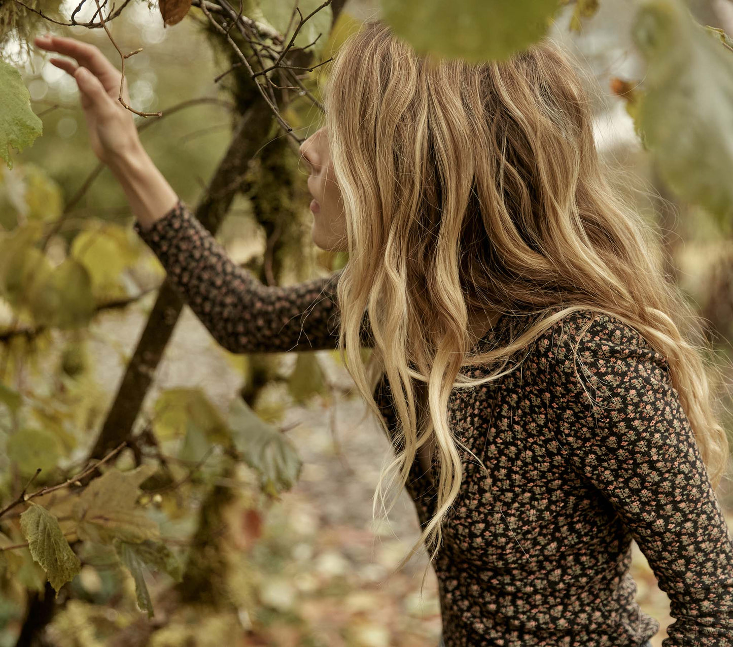 HMD -- PAOLA TEE -- NIGHTFALL SECRET GARDEN