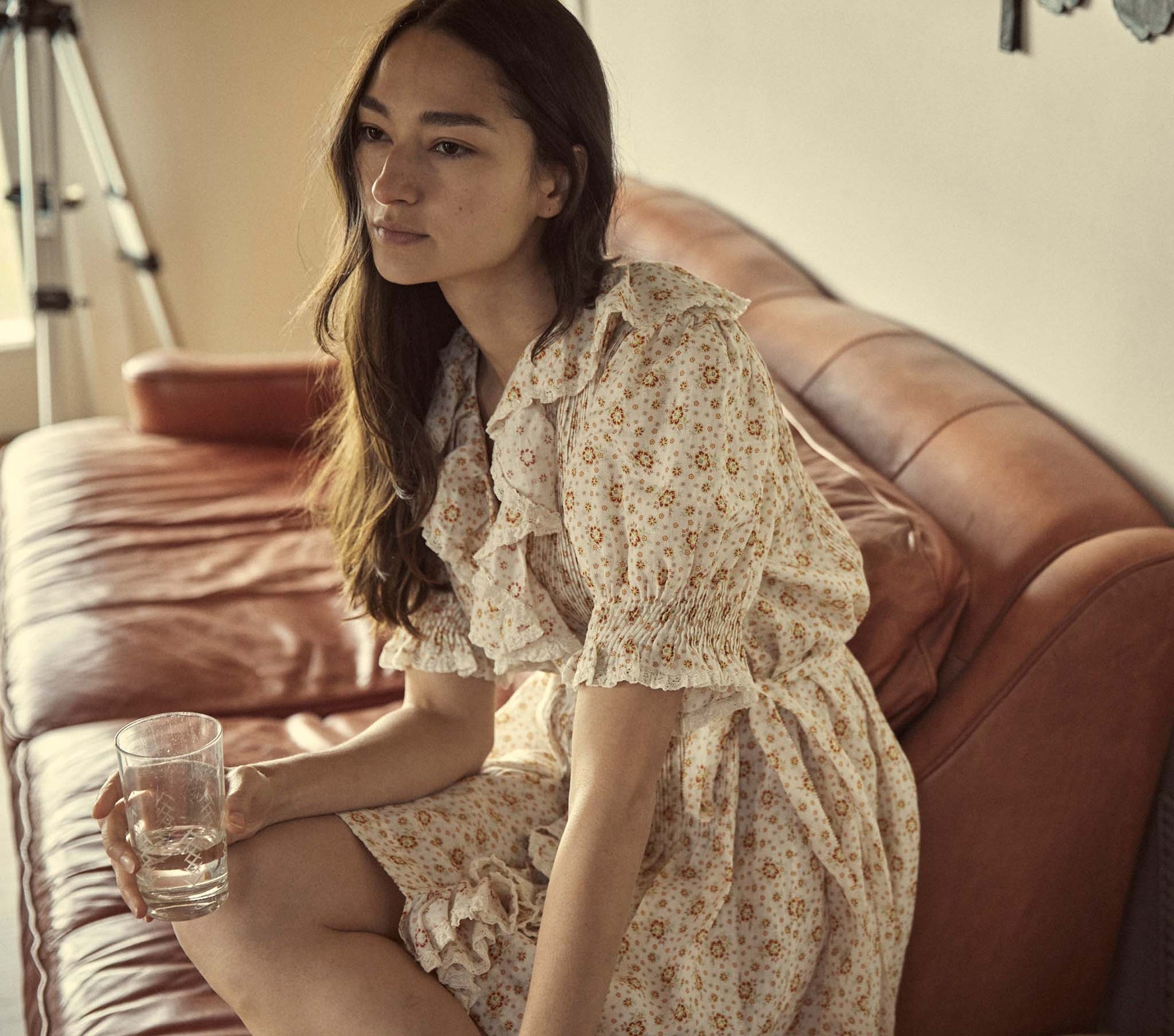 HMD -- PIPER DRESS -- ALABASTER COUNTRYSIDE CALICO view 6
