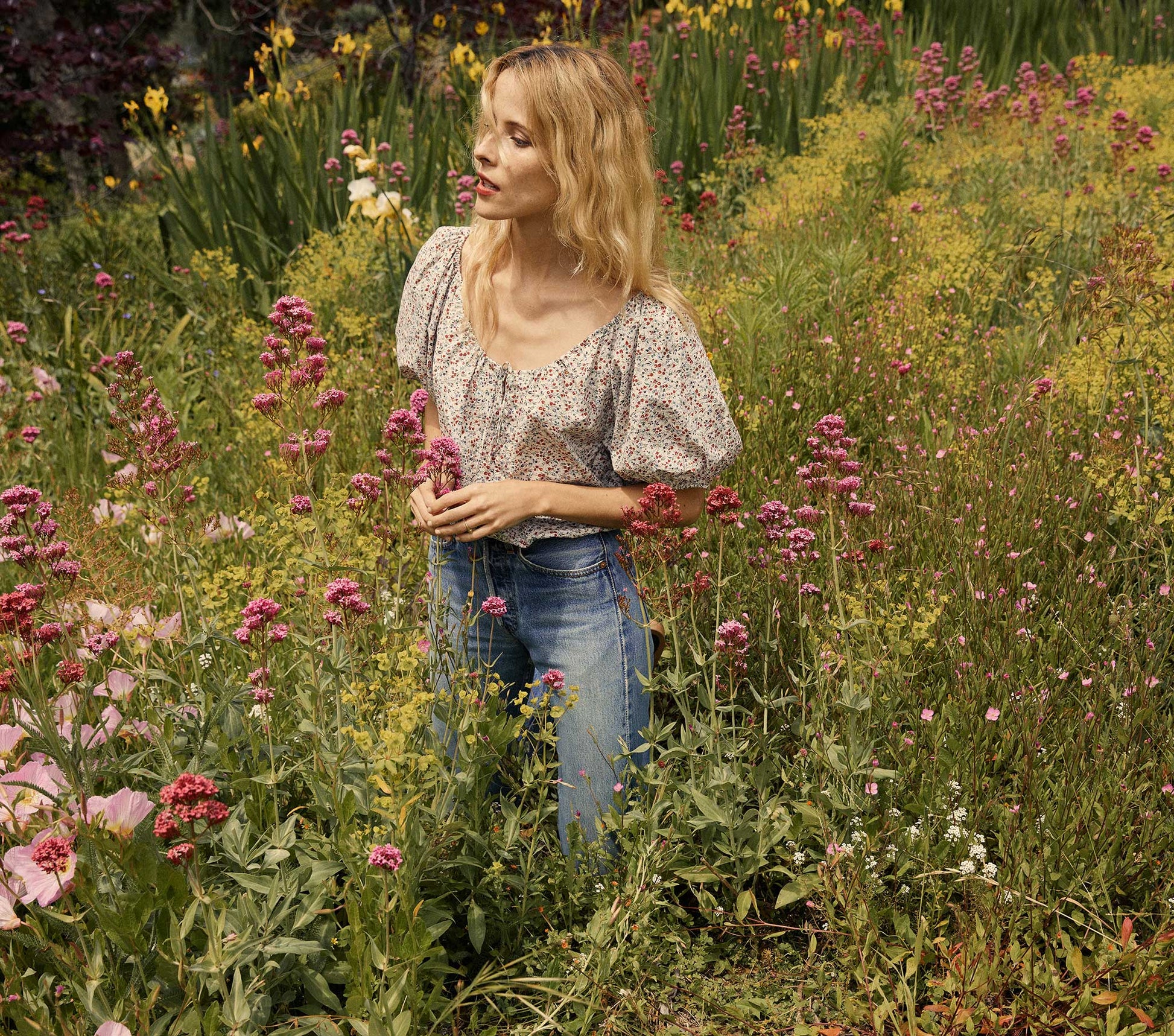 HMD -- LOTUS TOP -- BRIARWOOD FLORAL view 2
