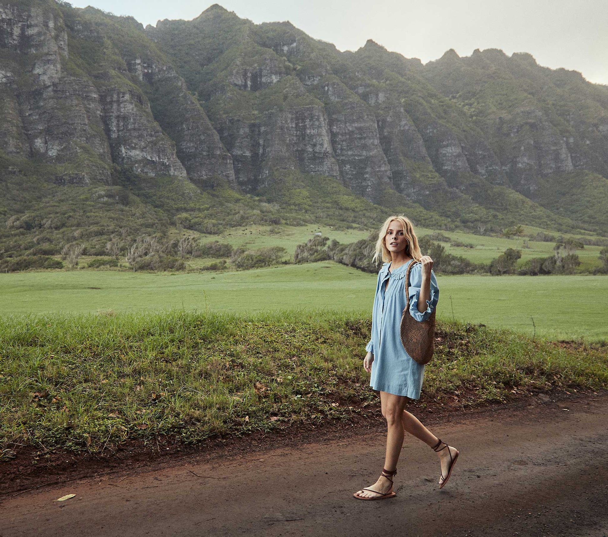 HMD -- WING DRESS -- PARISIAN CHAMBRAY view 5
