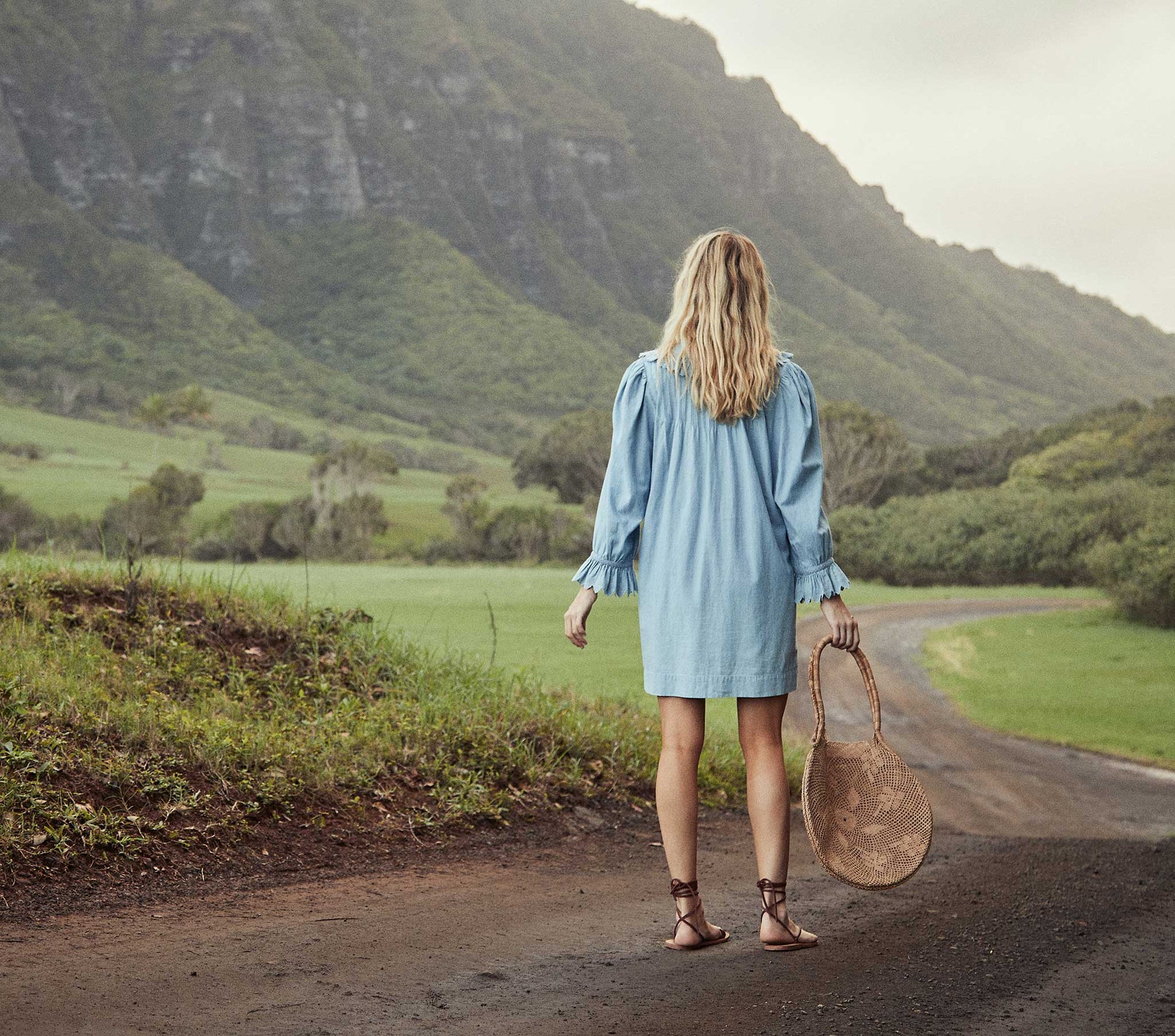 HMD -- WING DRESS -- PARISIAN CHAMBRAY view 6
