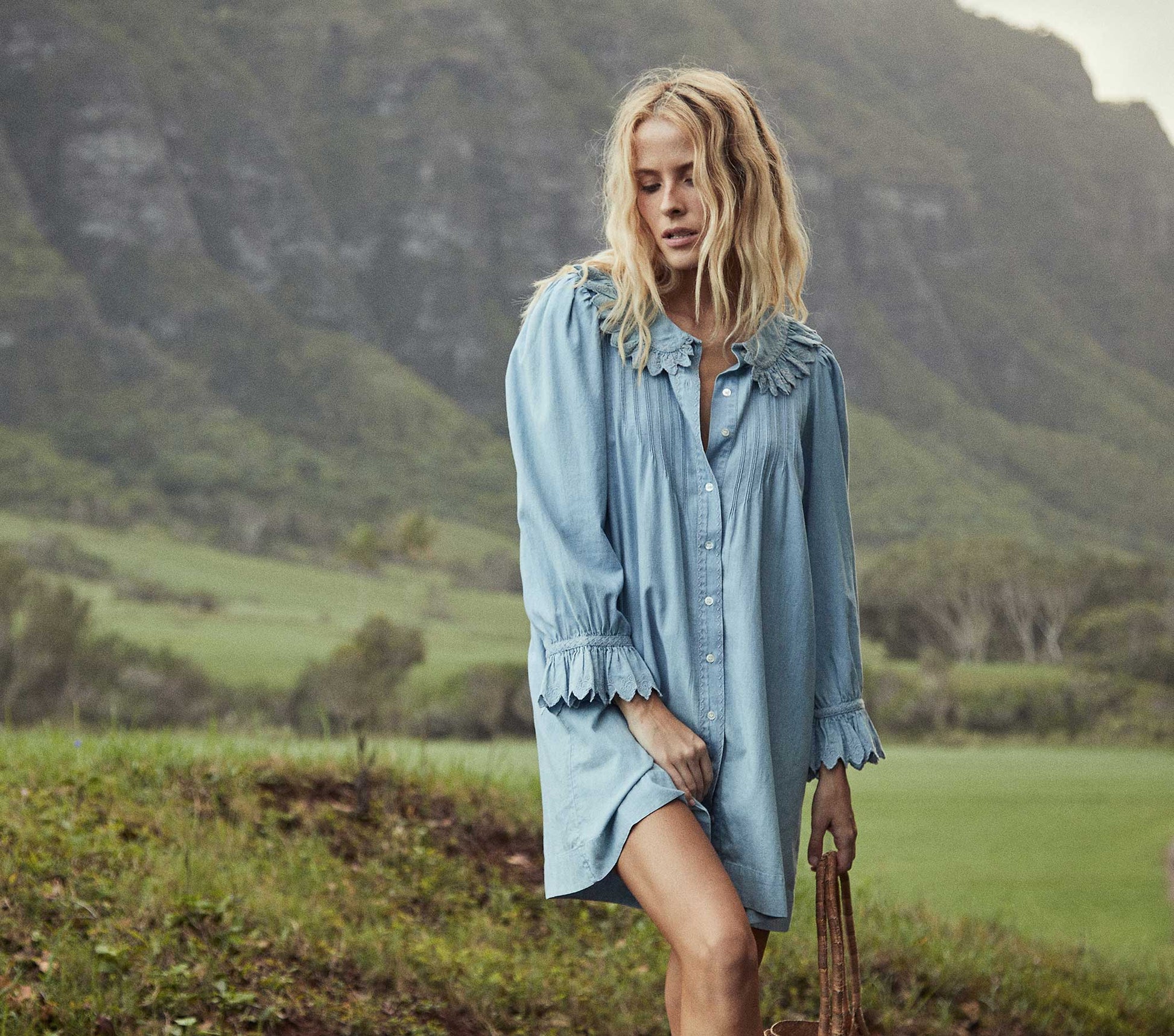 HMD -- WING DRESS -- PARISIAN CHAMBRAY view 2

